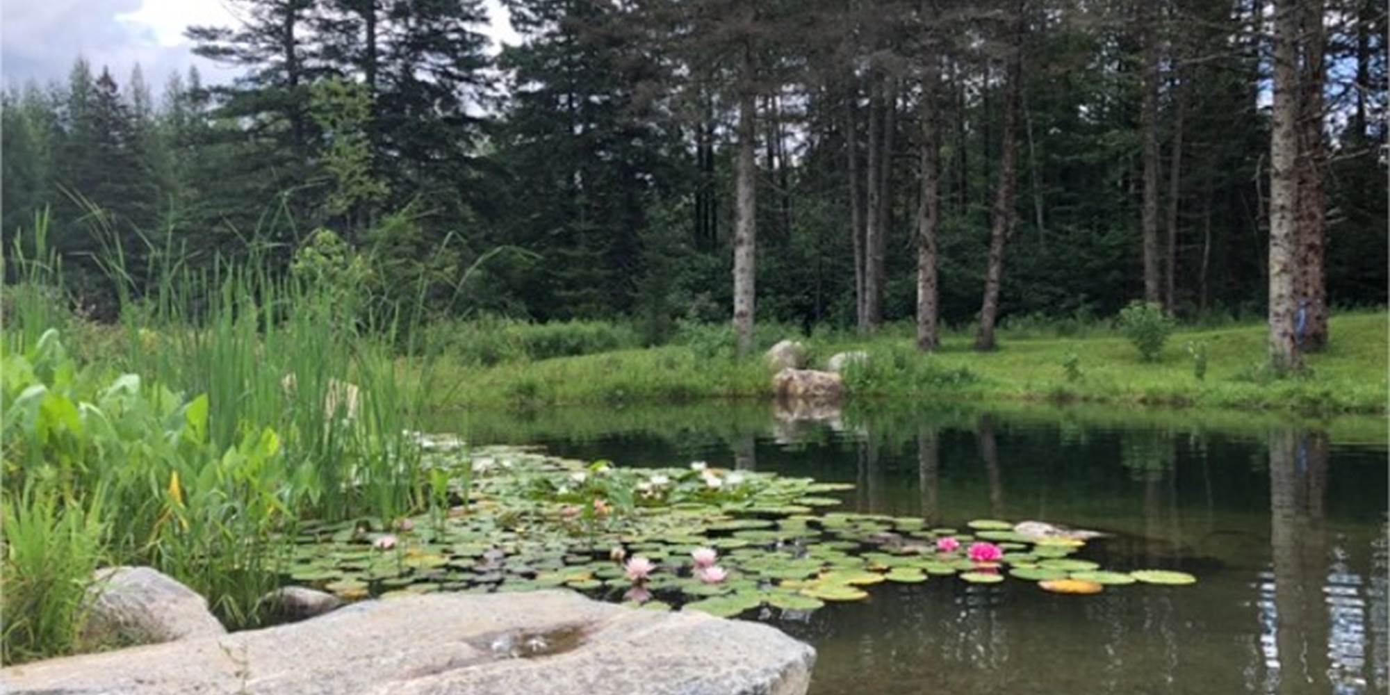 le lac