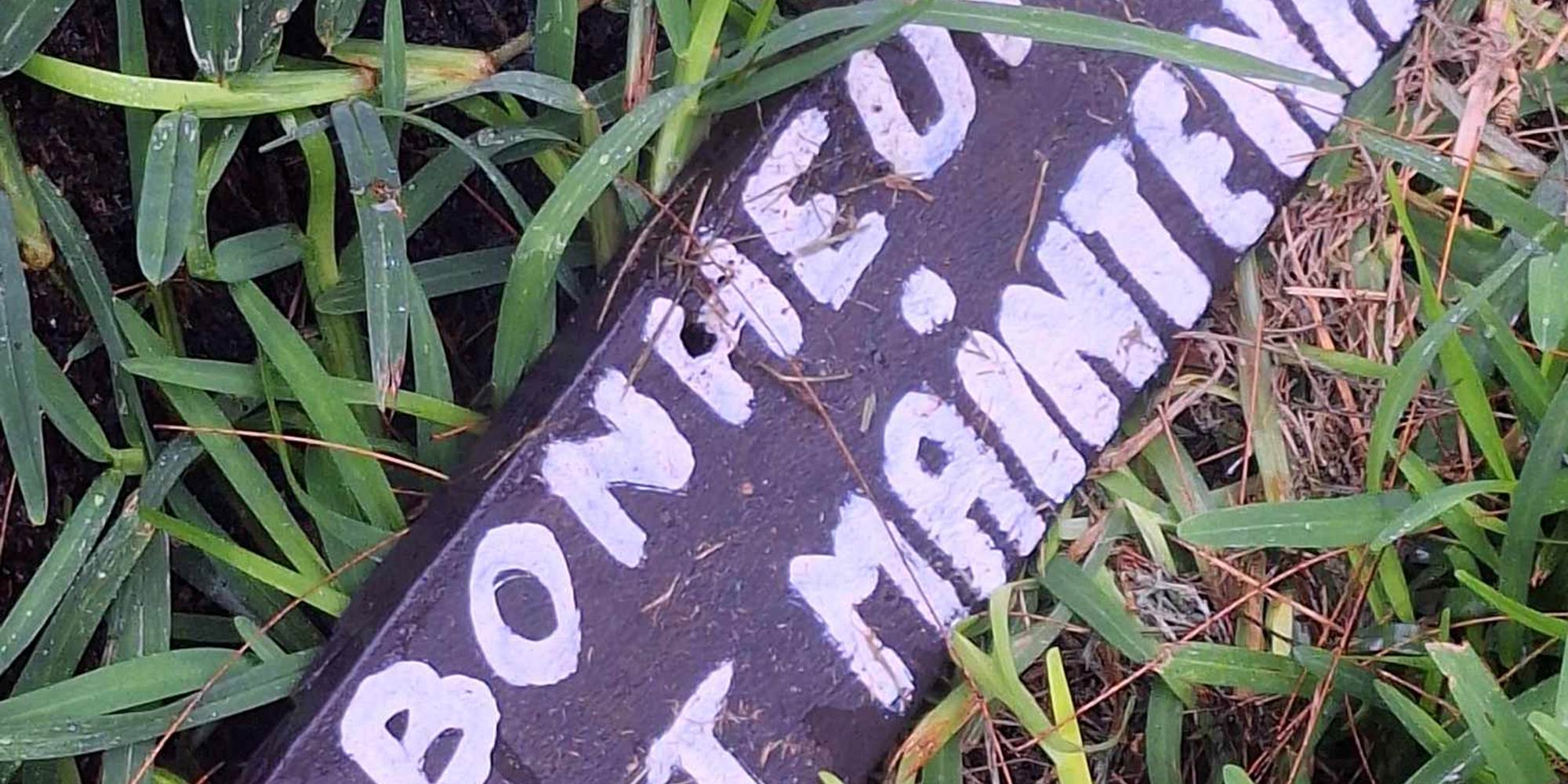 433993435_1443901279668373_8886253087161065743_n (1)