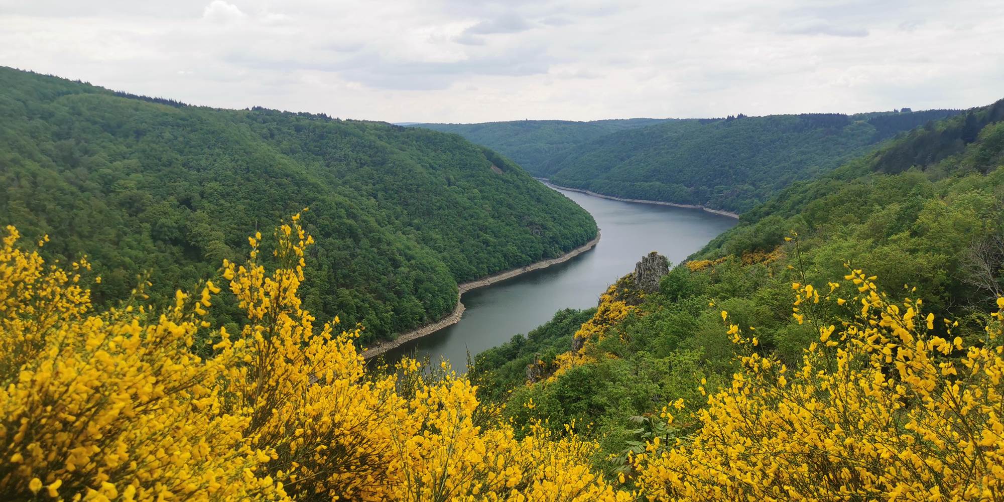 Le magnifique Belvédère de Gratte-Bruyère à 5min de la tiny à pied