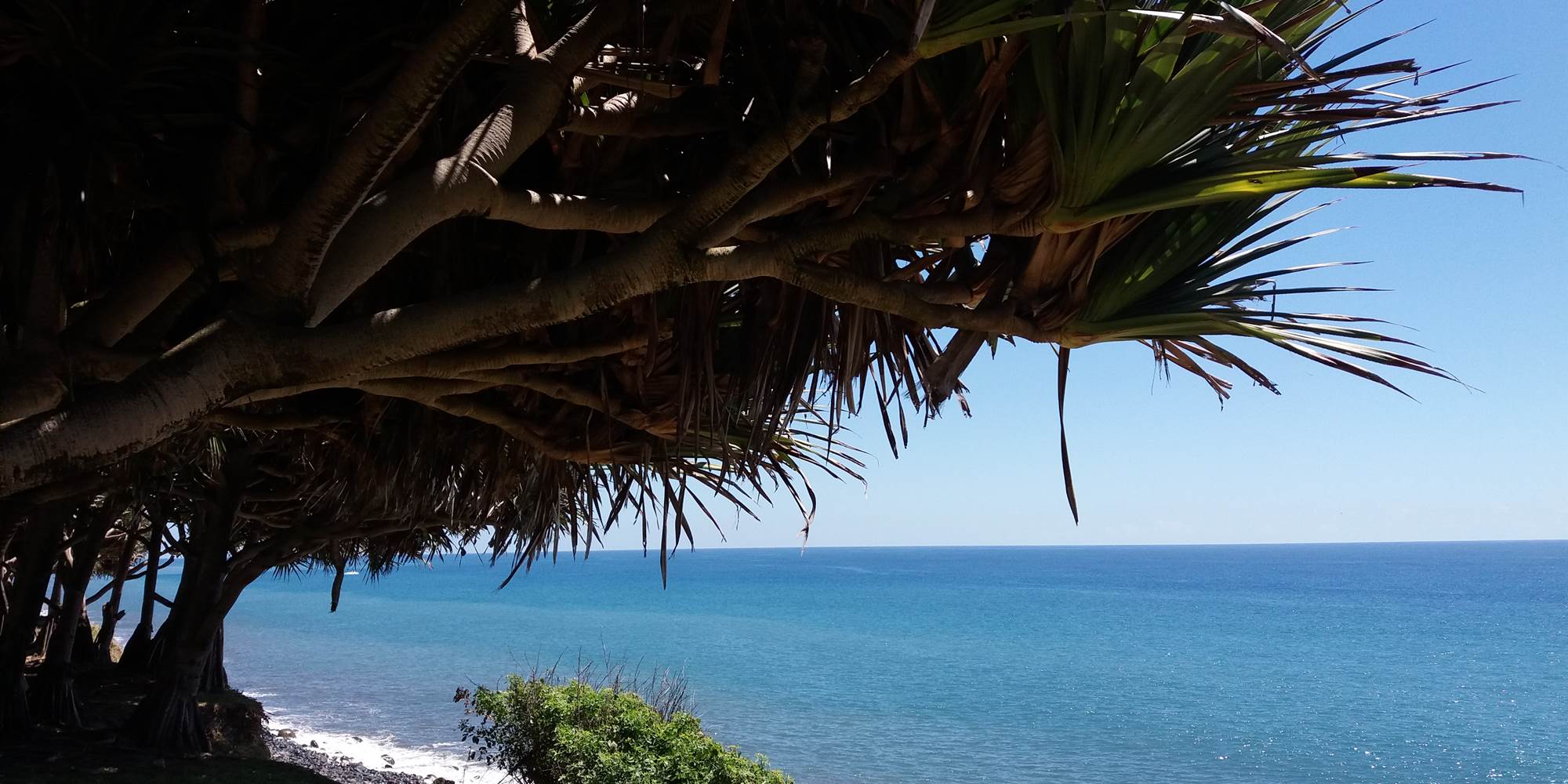 Bord de mer2
