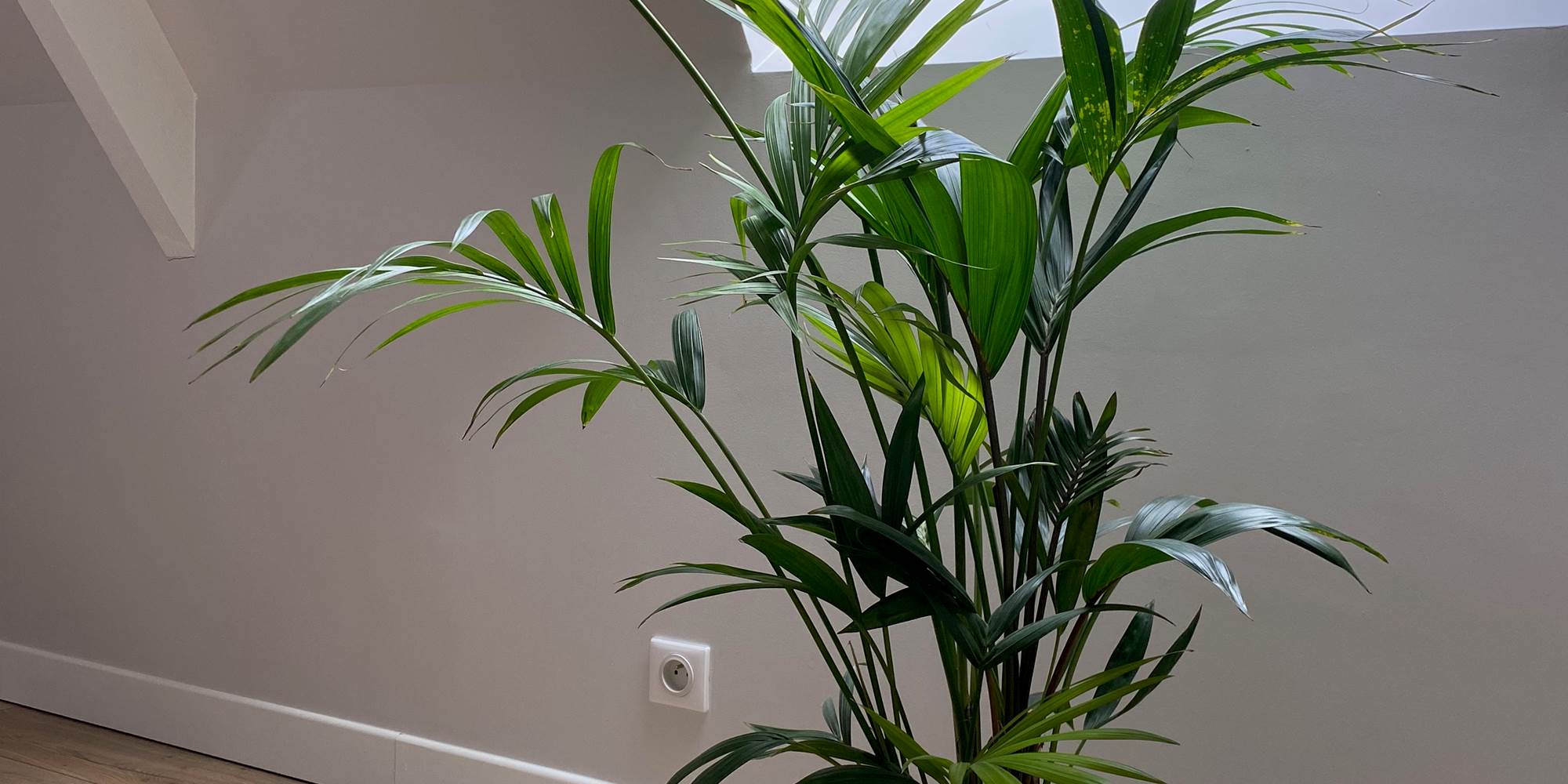 chambre jules detail decoration