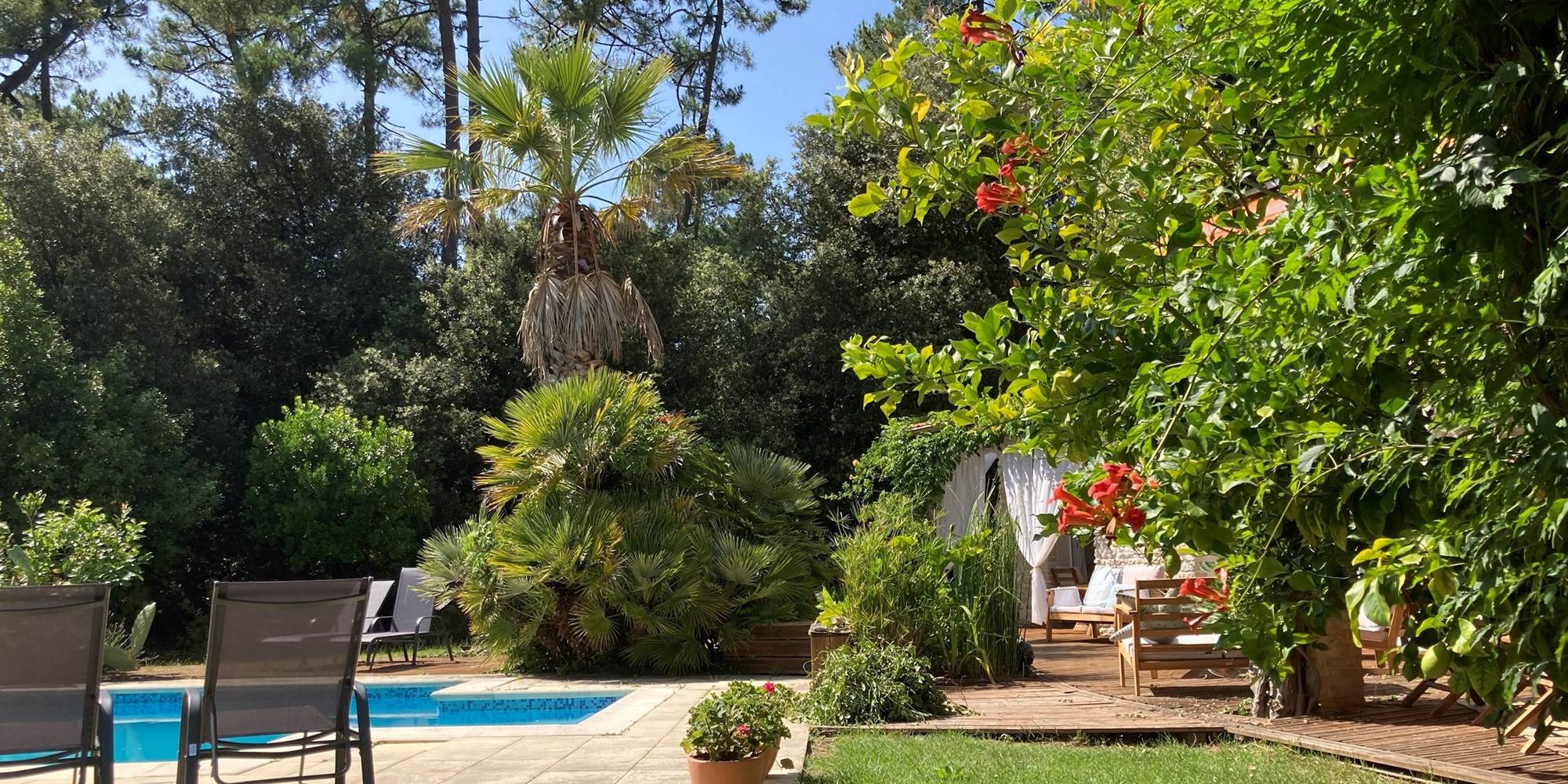 La piscine et le jardin