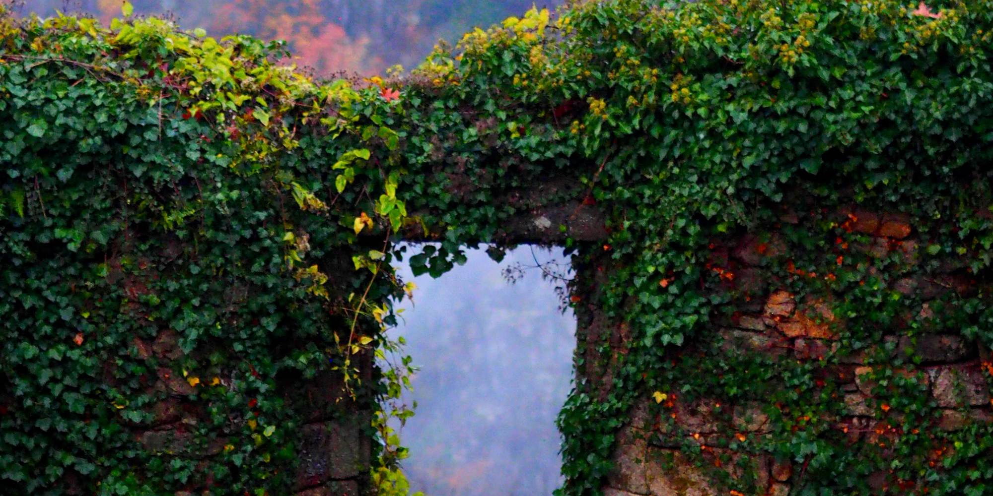 Vue d'Automne, depuis le "Jardin de la Cure", juste sous les Gîtes "Le Chant des Sources", à Gimel-les-Cascades (19).