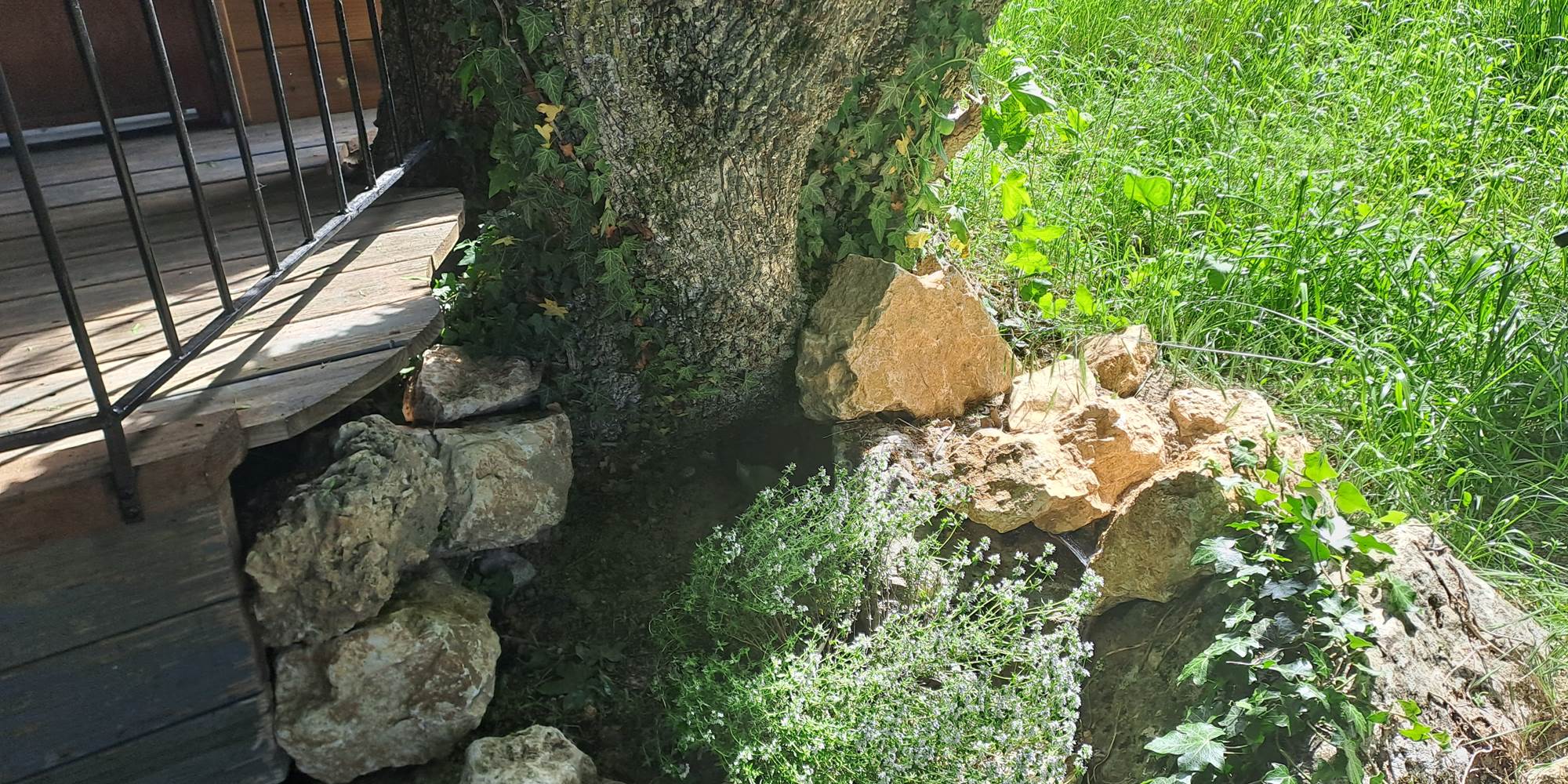 Des plantes aromatiques plantées juste pour vos petite popottes ! :)