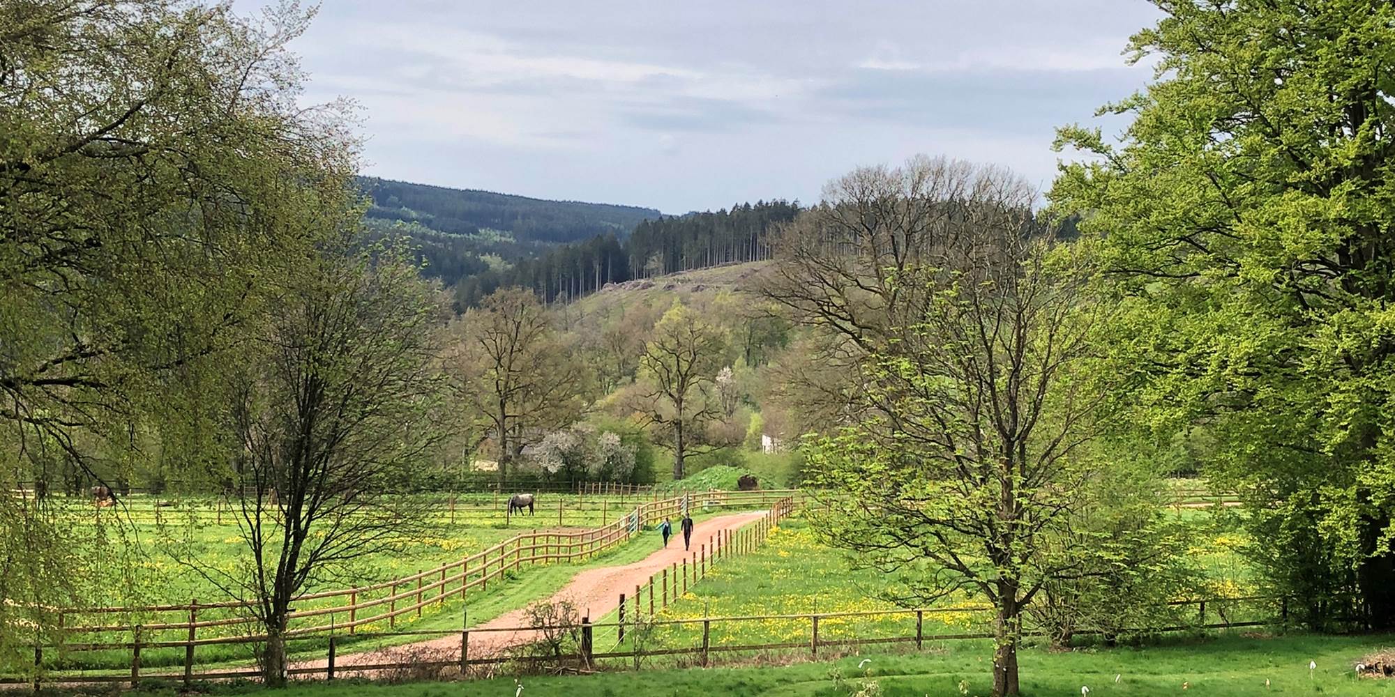 Jardin arrière, vue sur la vallée de l'Amblève
