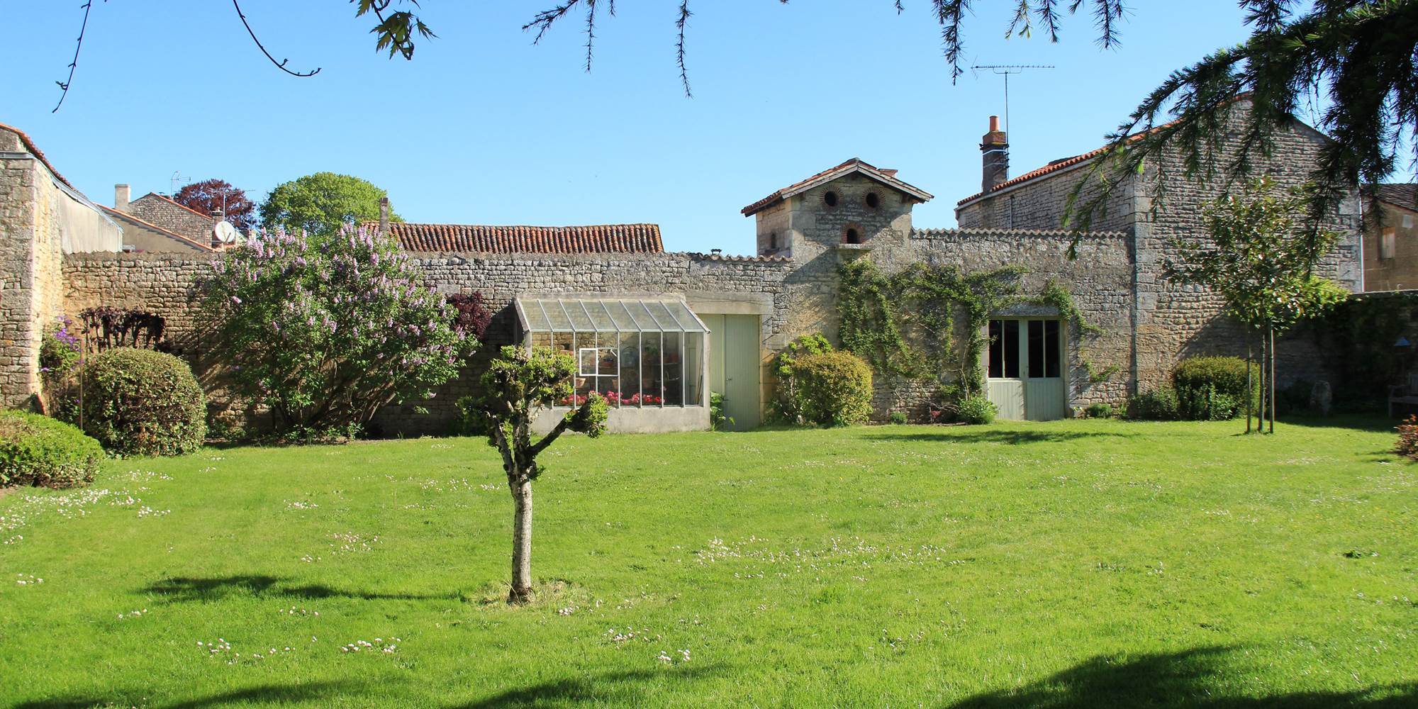 85-Rosier-Sauvage:Jardin