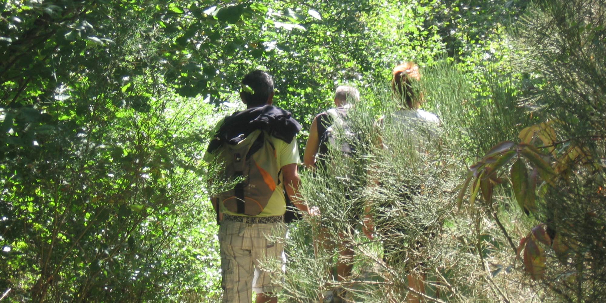 Ballade sur les chemins de Margeride