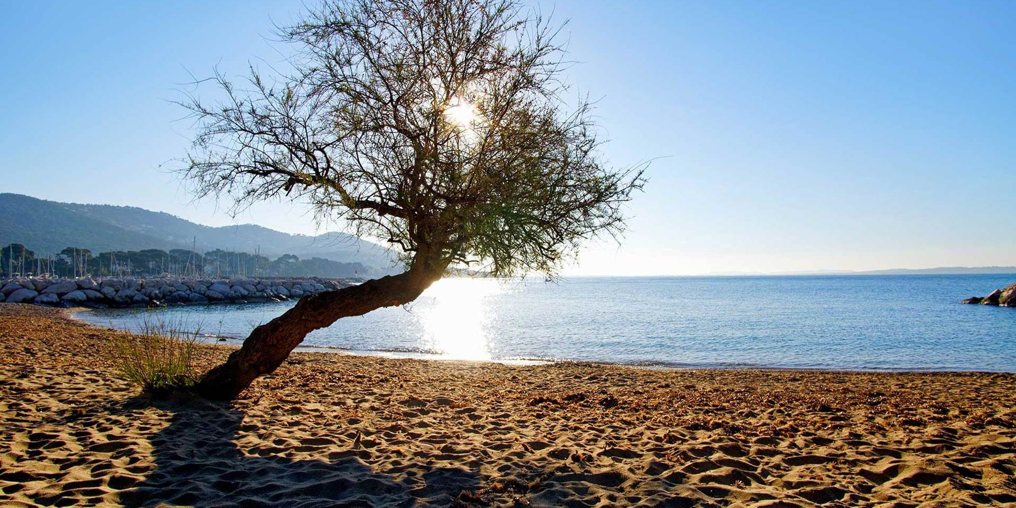 plage-carqueiranne-var-1920x960