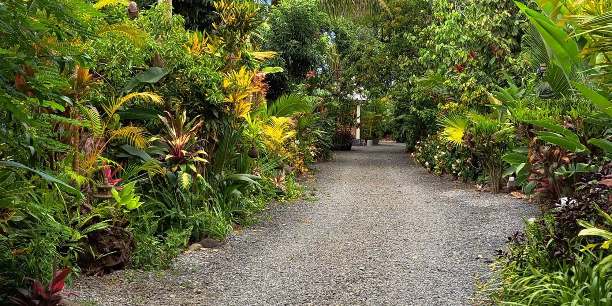 Entrée du jardin