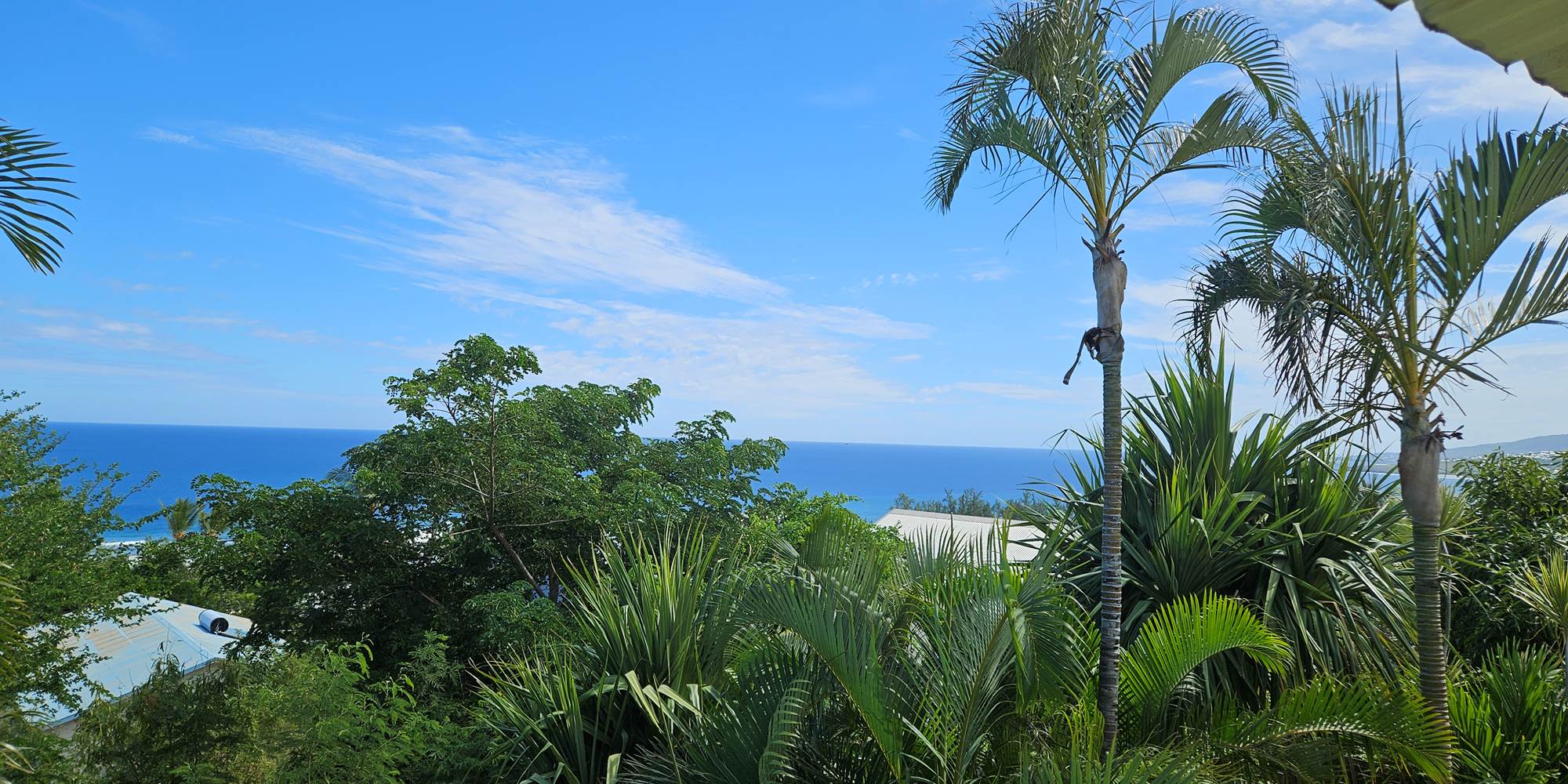 L'île en Ylang