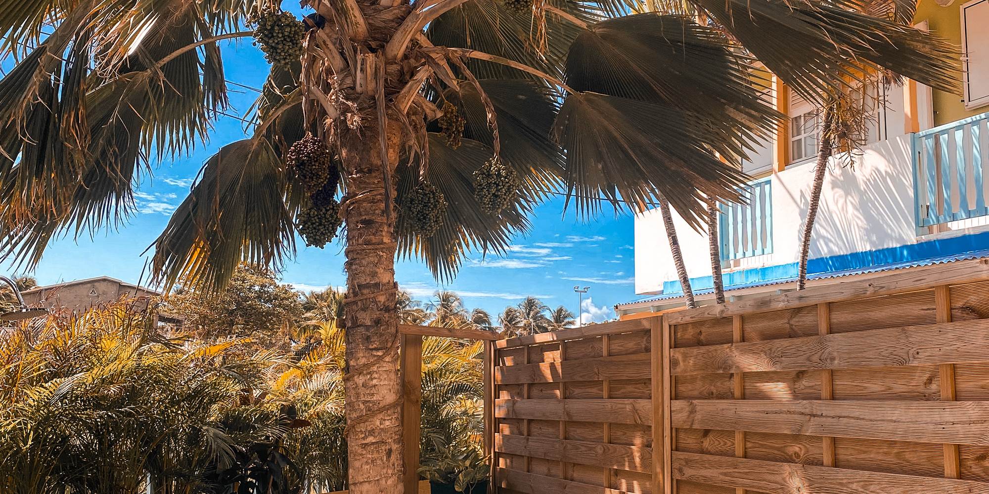 Piscine Hotel Oasis La Desirade