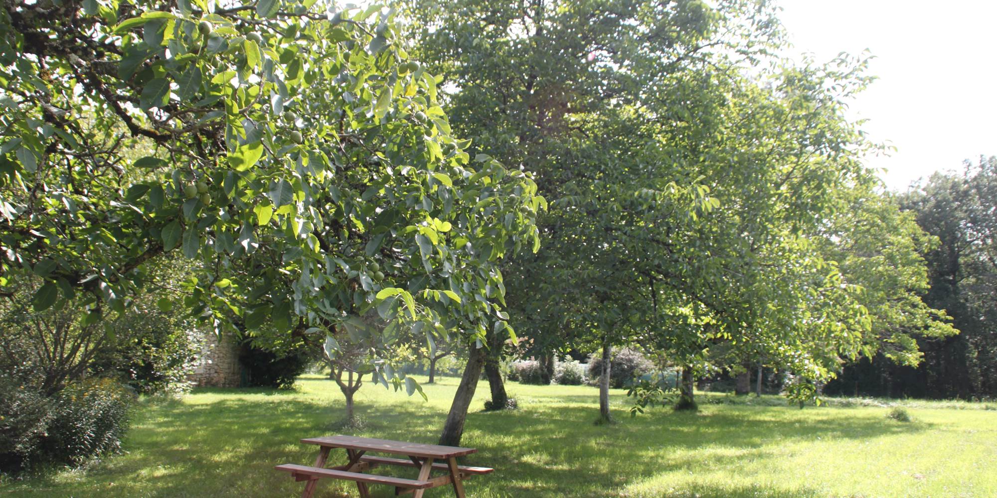 table pique nique - picnic area under the wallnuts trees