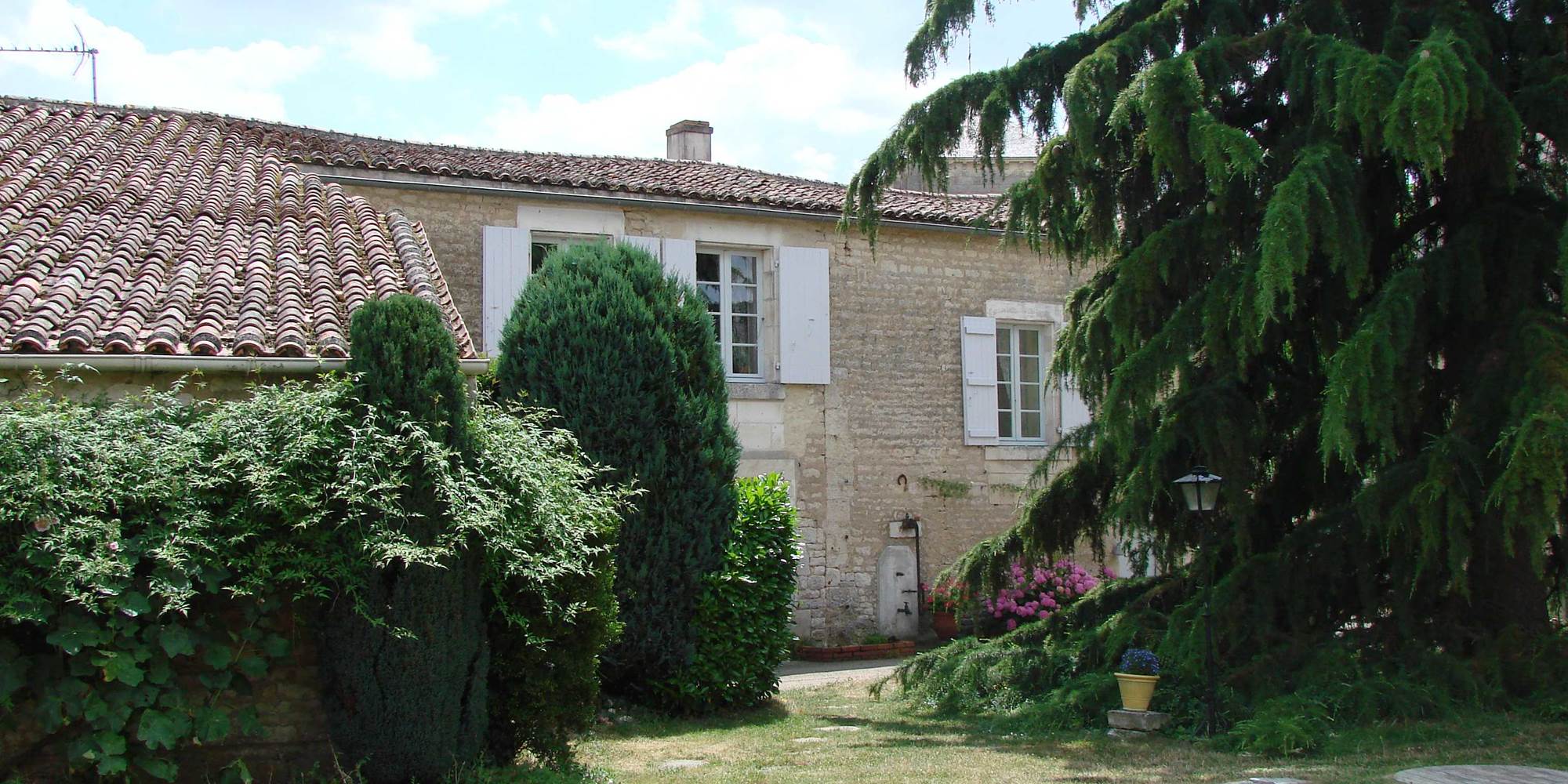 Le Rosier sauvage