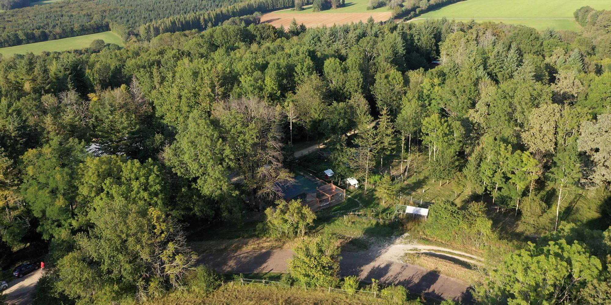 La foret est dangereuse en cas de grand vent