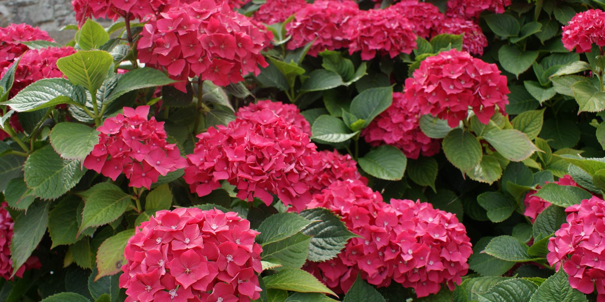 DSC01204