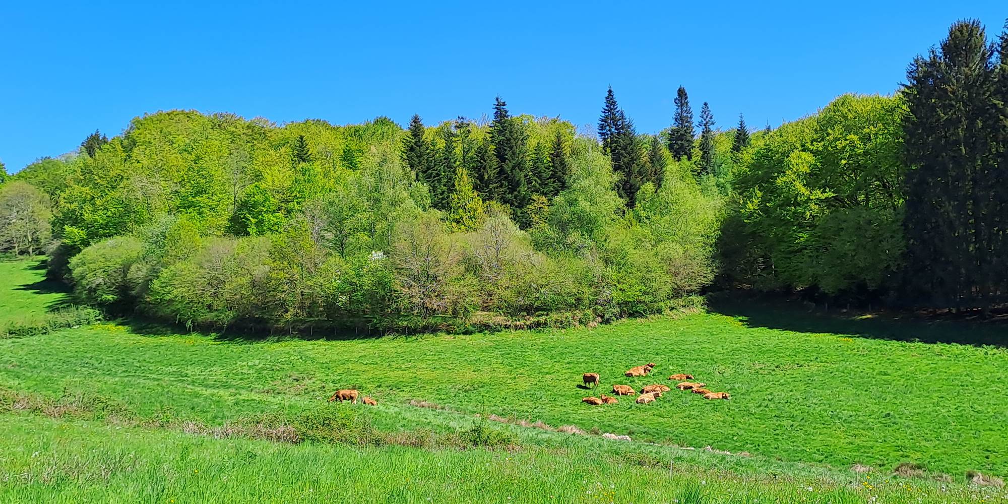 Couleurs de printemps aux chaumières de Brameix