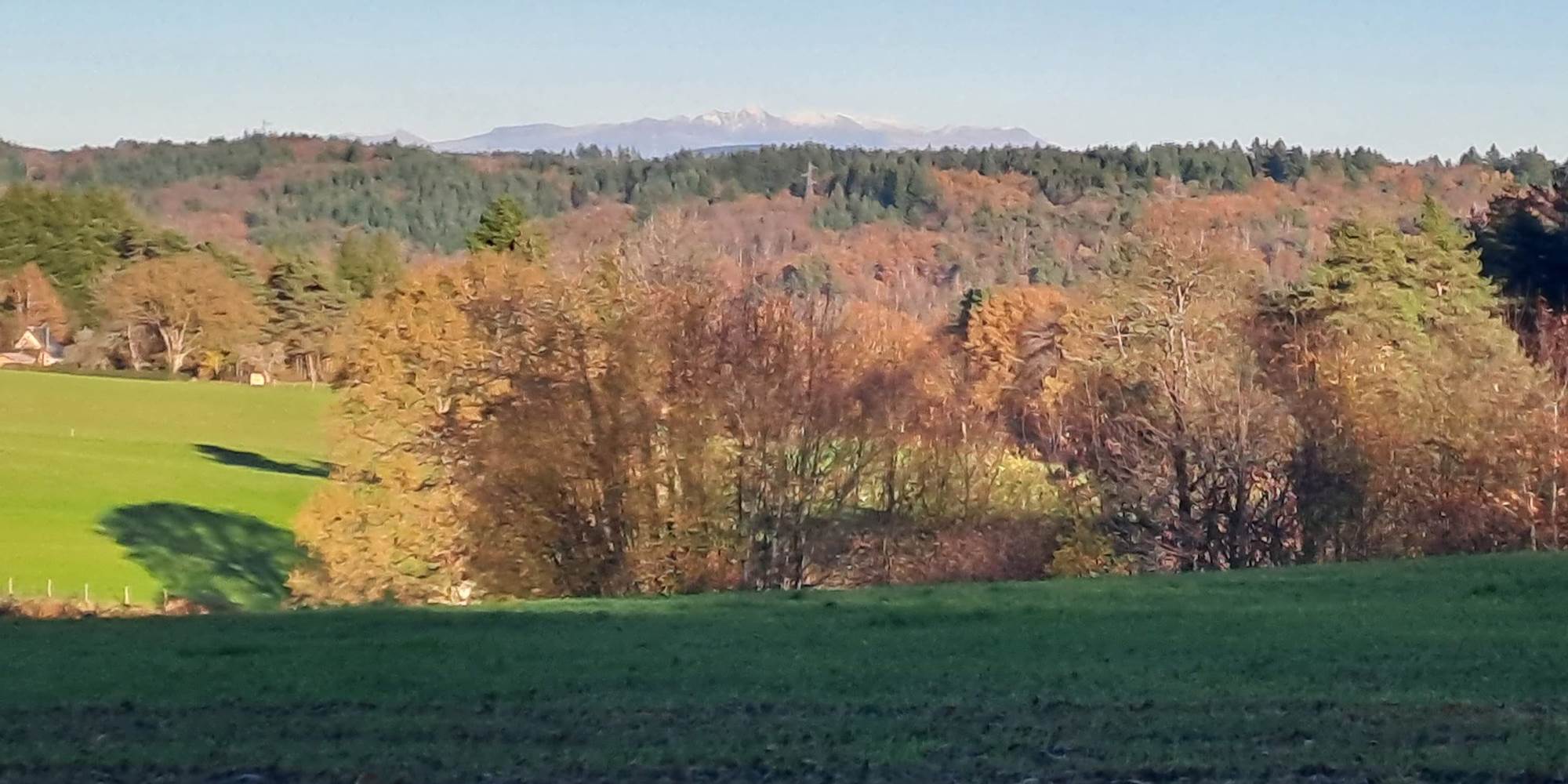 leschaumieresdebrameix leSancy