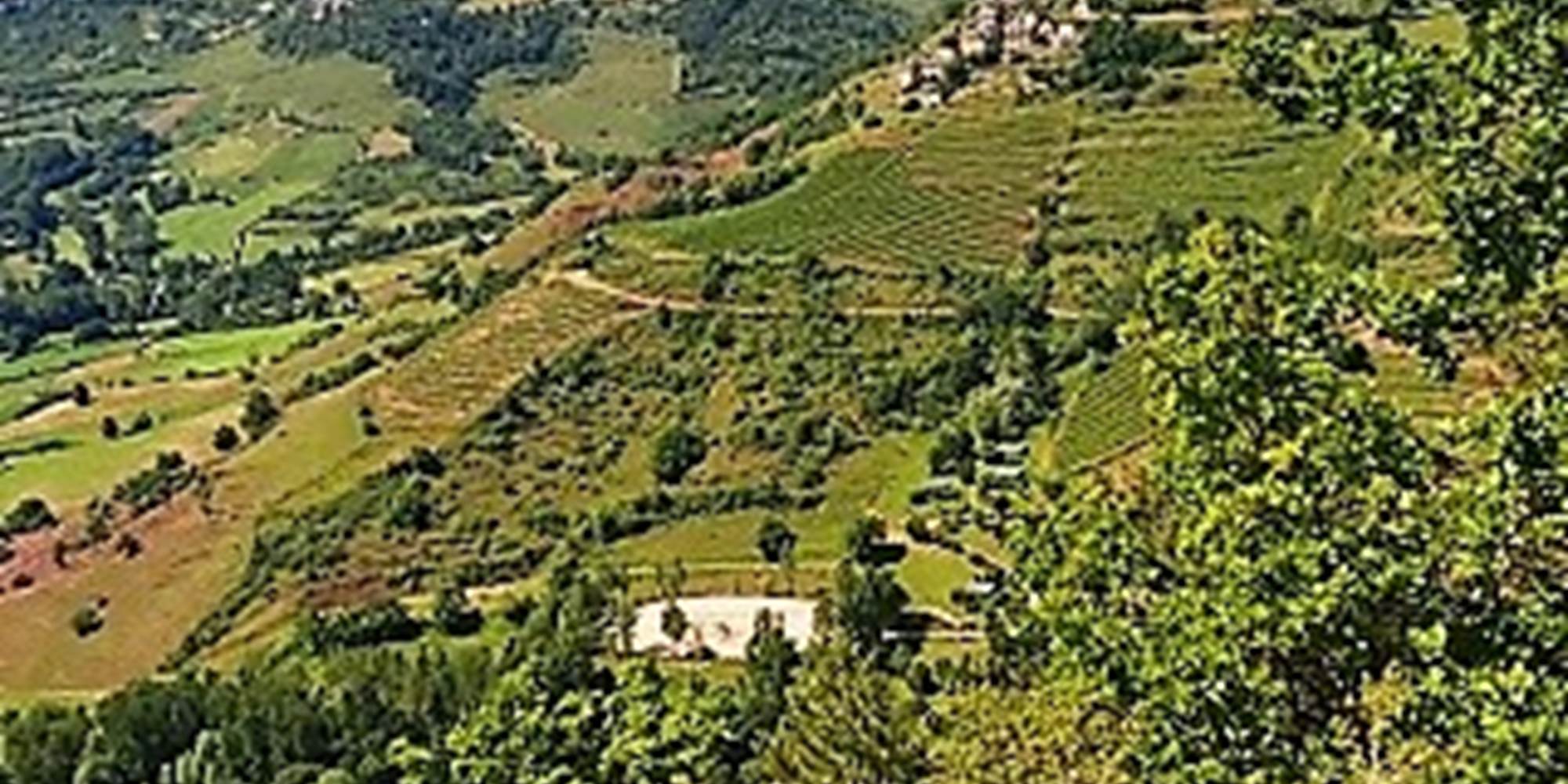 Les environs (1)