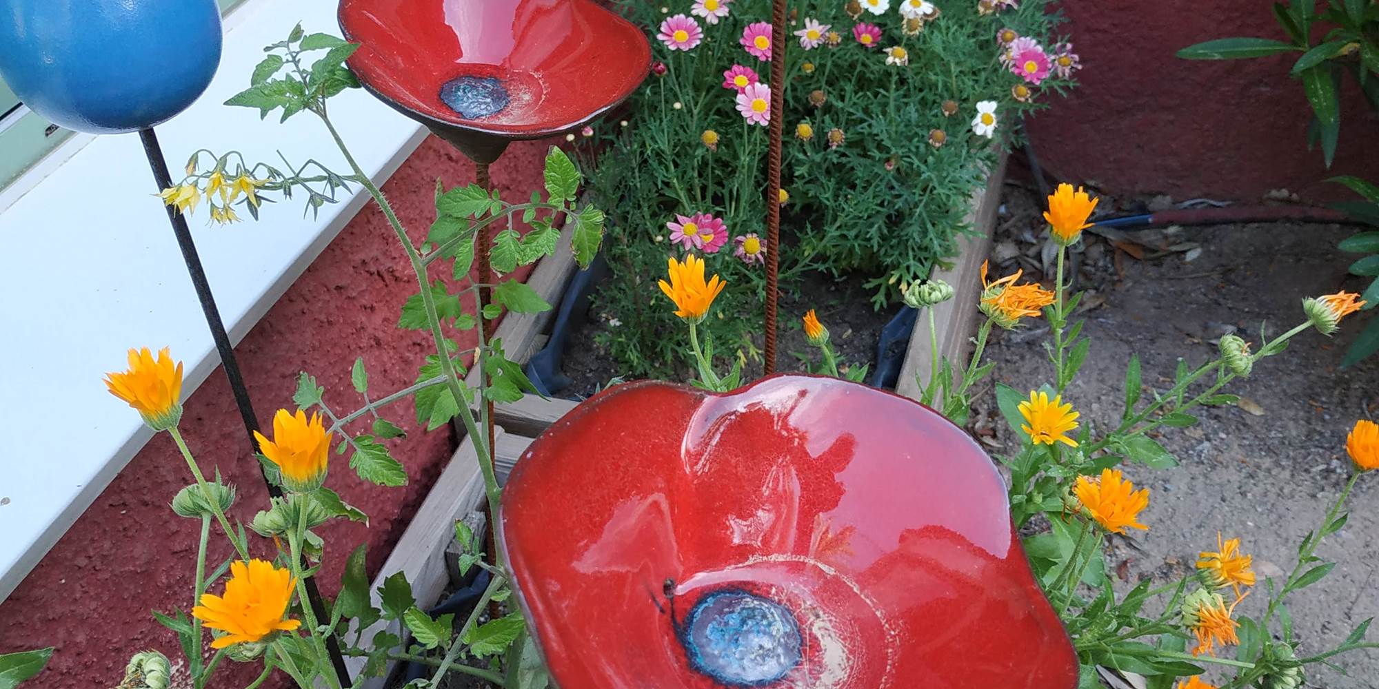 Fleurs éternelles