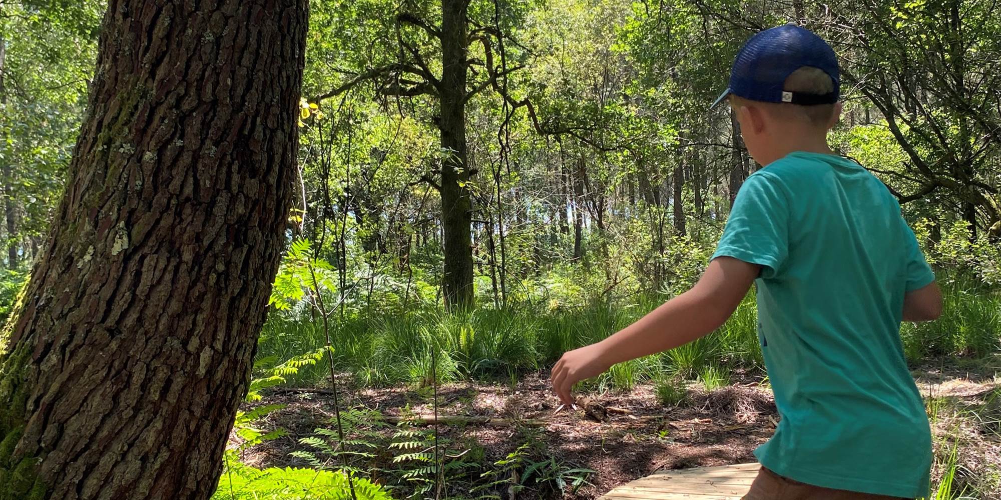 Parcourez les sentiers naturel dans les bois