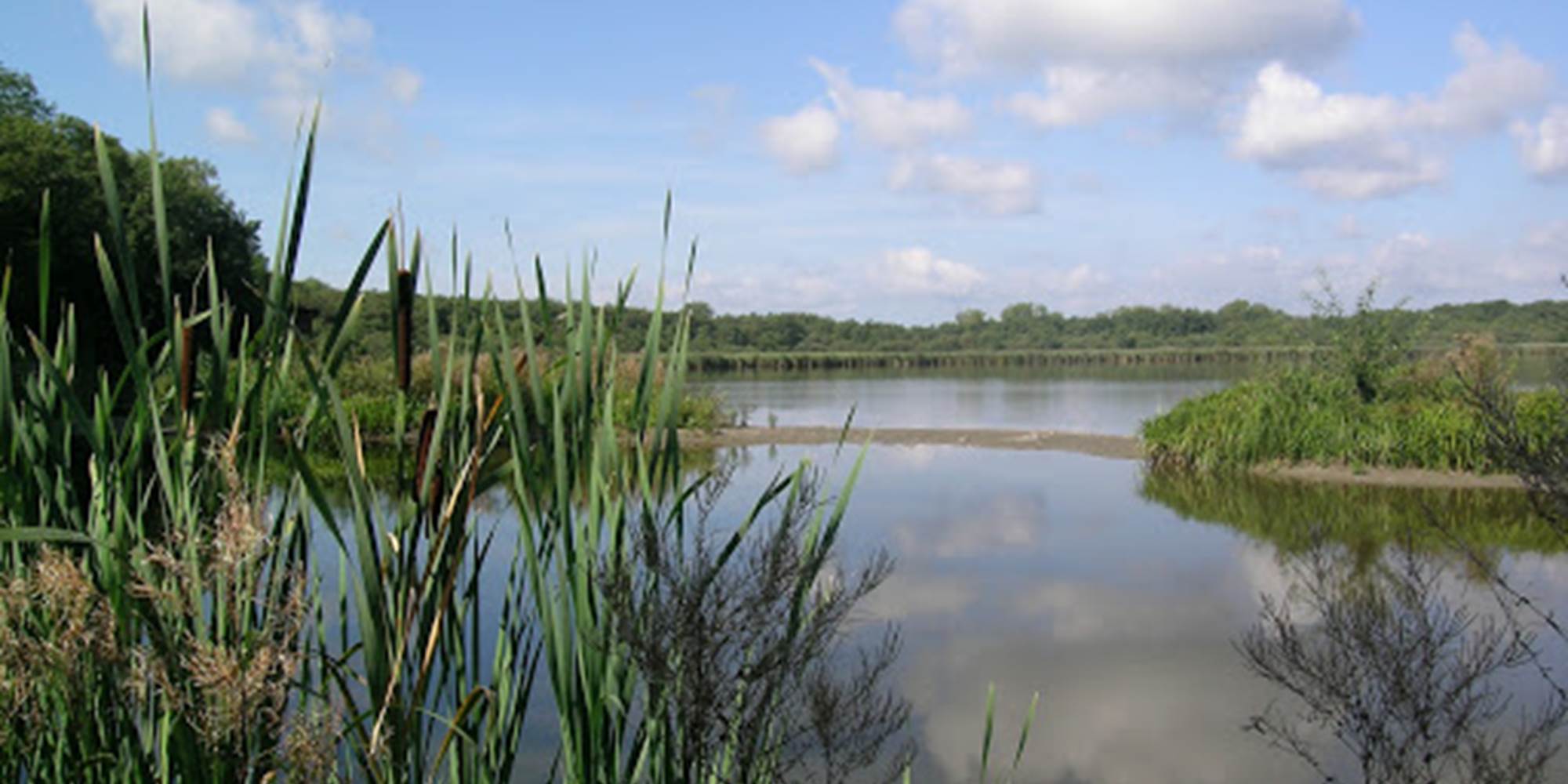 Lac de Virelles - Crédit : Wikipedia, Virelles Nature
