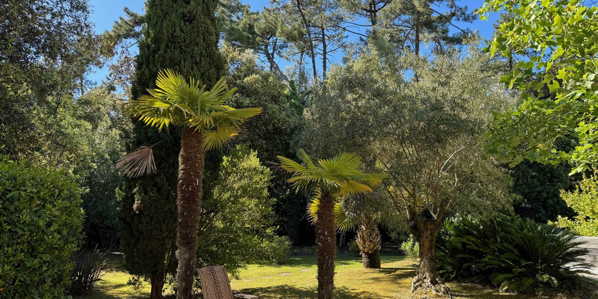 Jardin