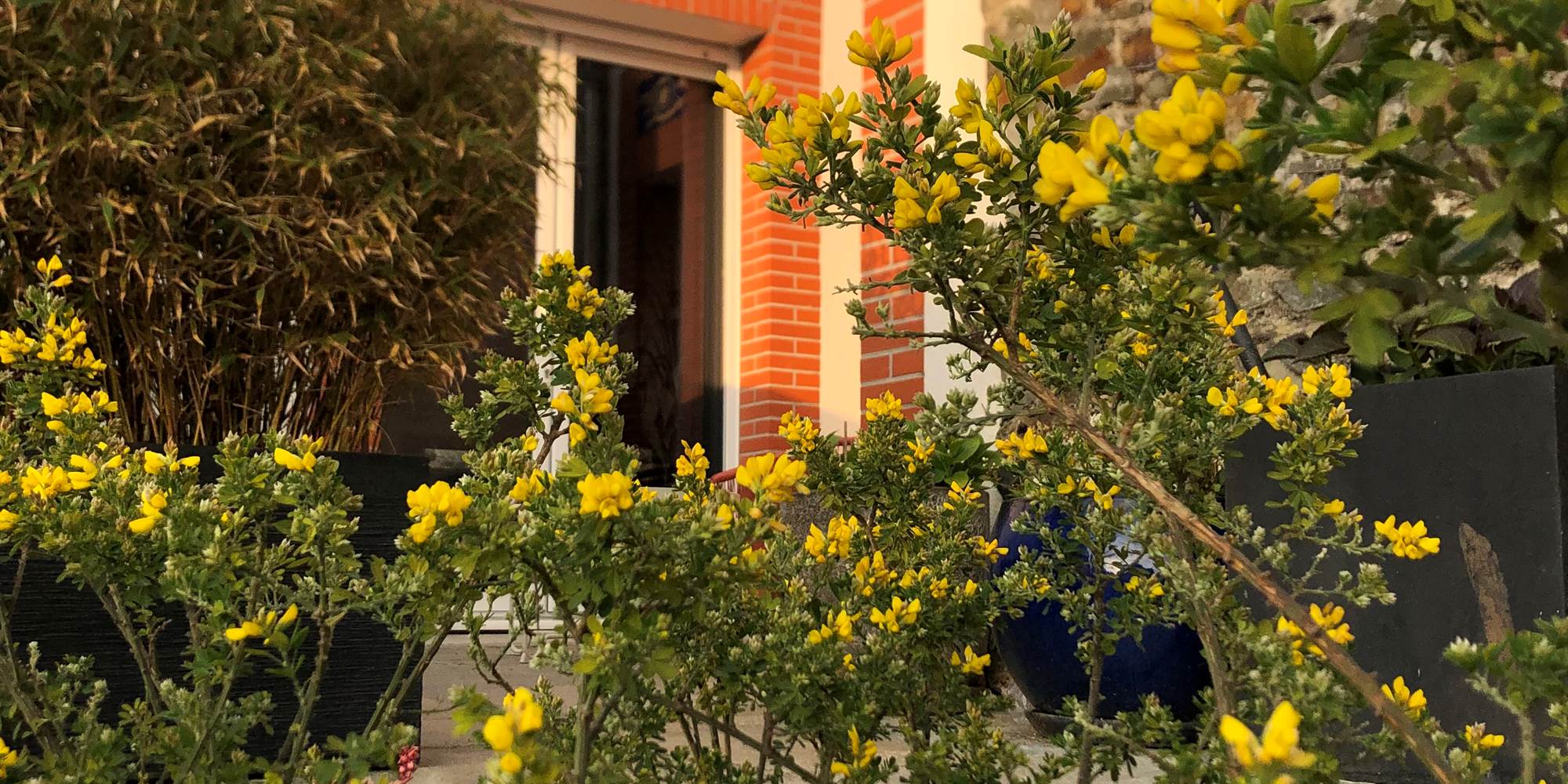 Jardin La Cotentine