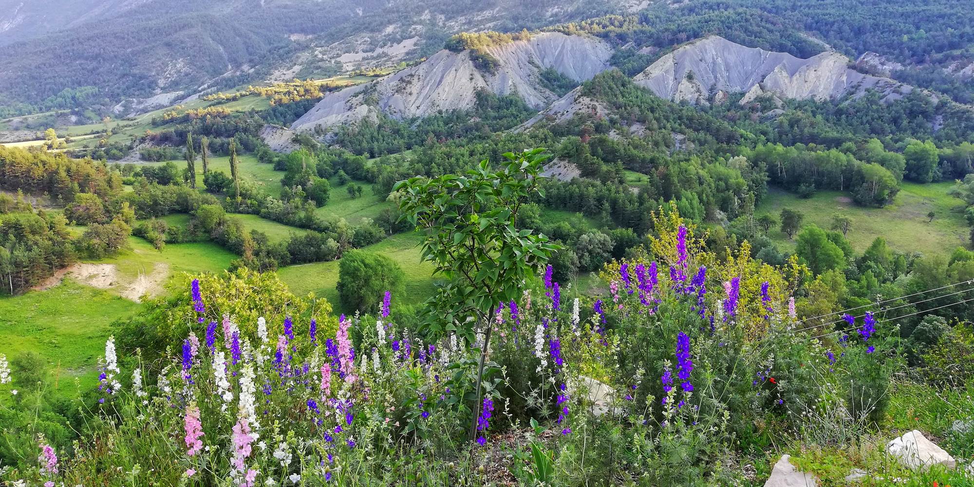 vue sur les prairiesMG_20180626_194248-01