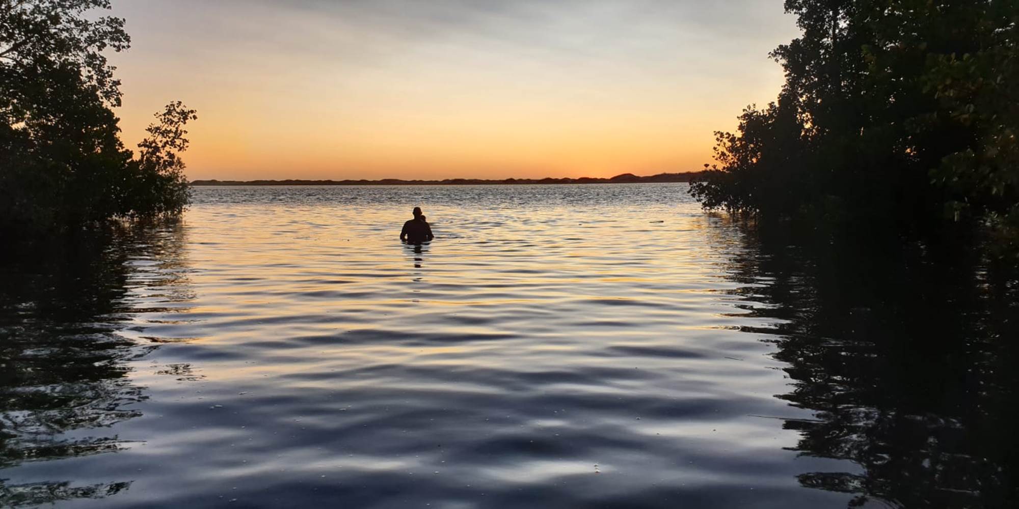 baignade sur couche de soleil mangrove