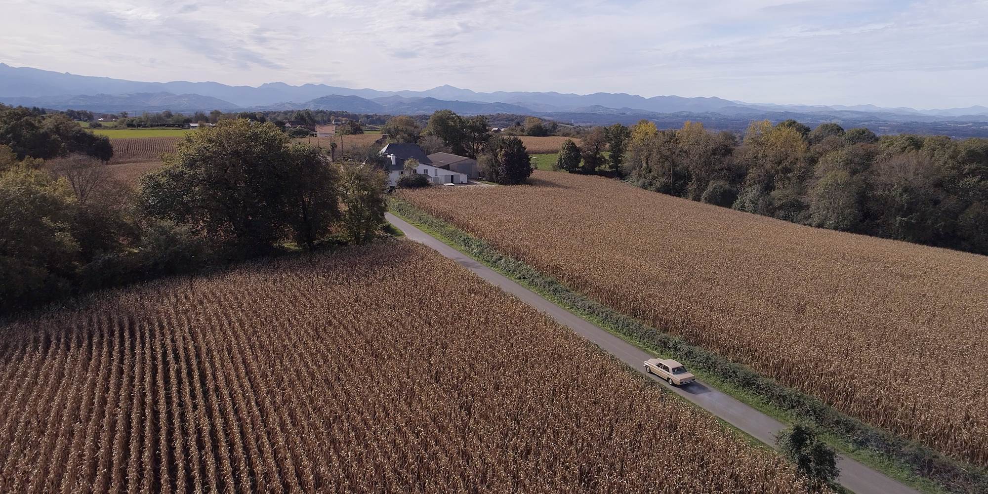 Vue aérienne du Gite Bearn Lou Canounge