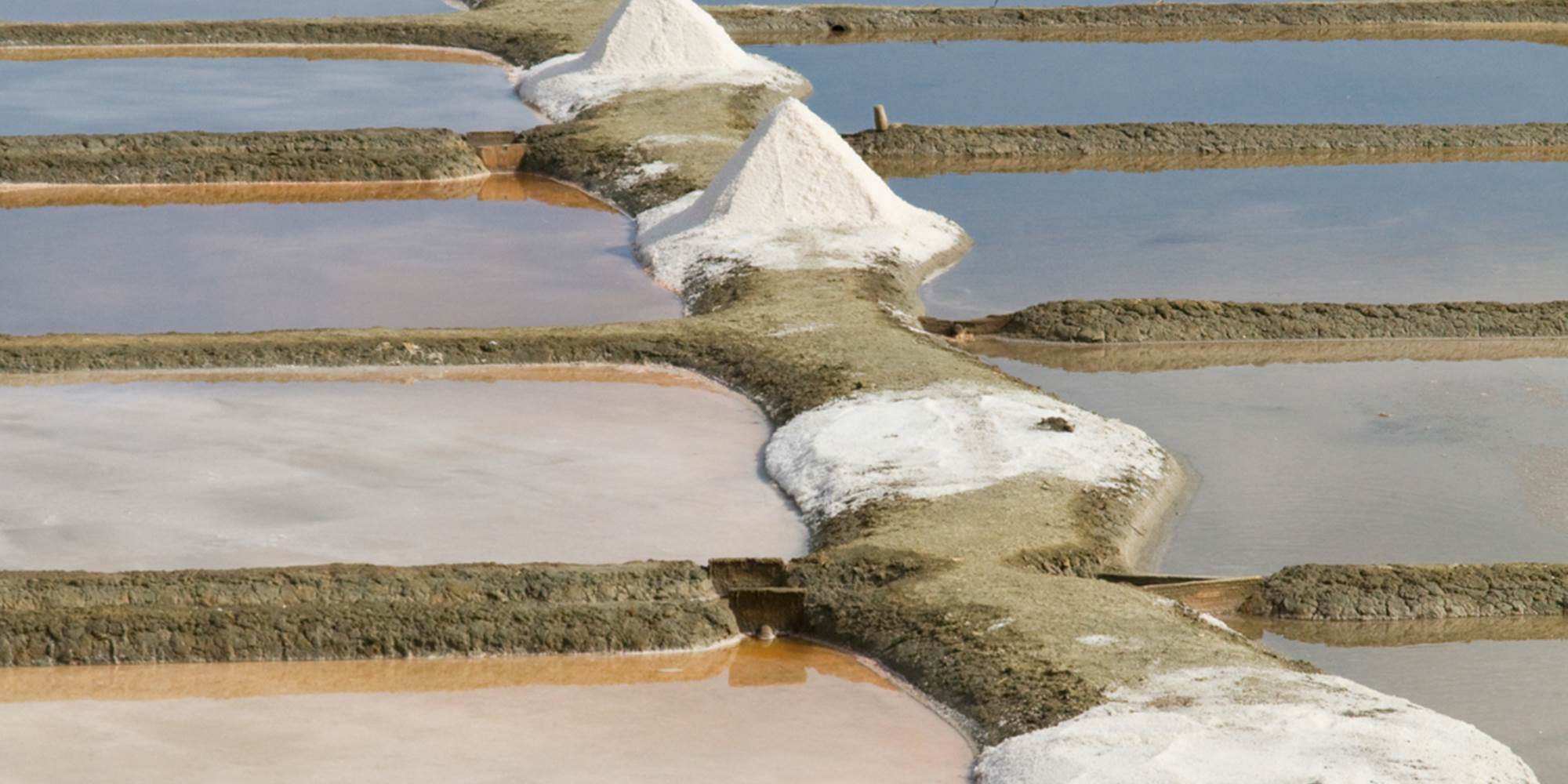 Re´_marais_salants