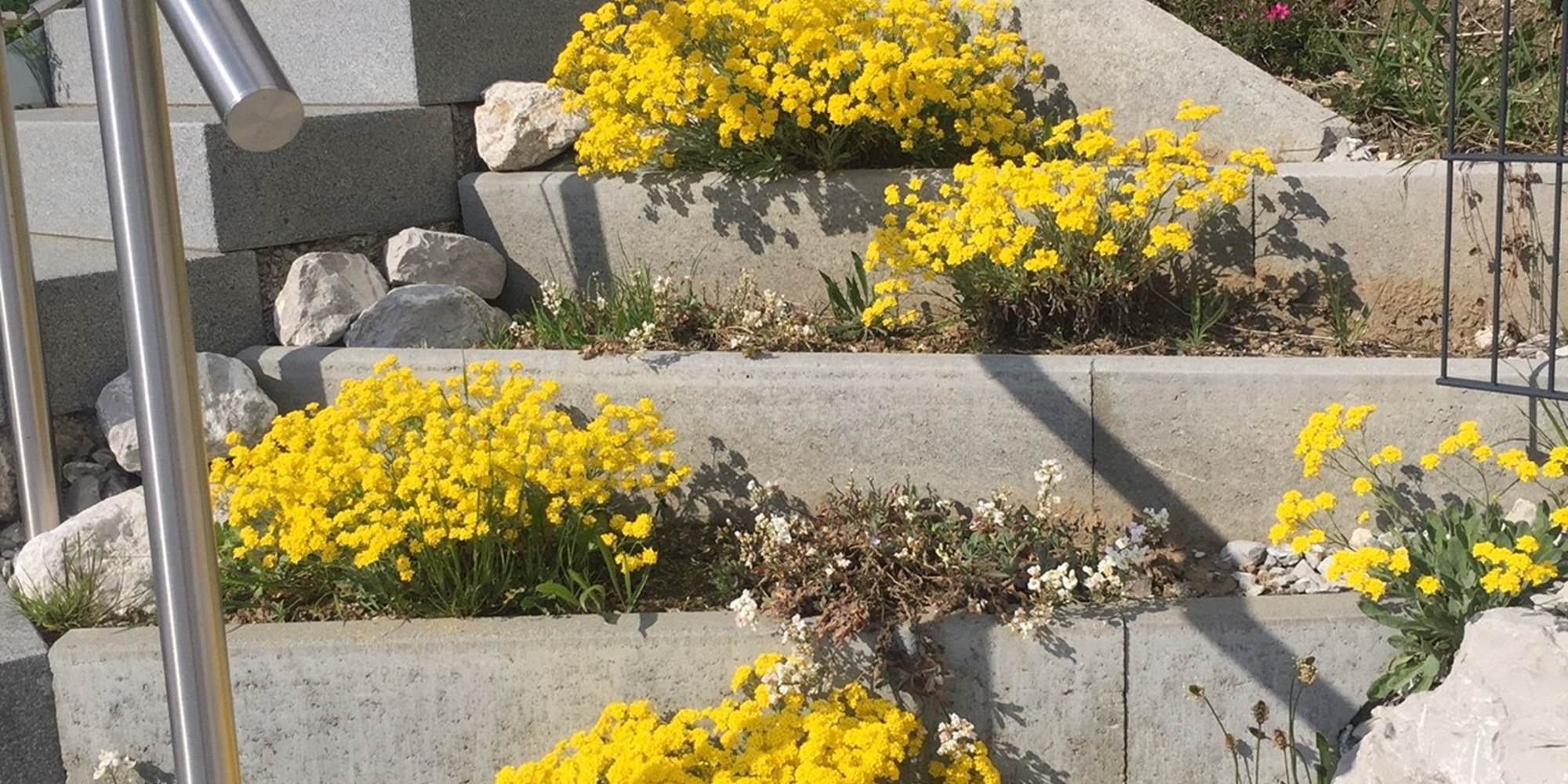 printemps-weekend-romantique-couple-gruyere-detente-calme-paysages-suisse