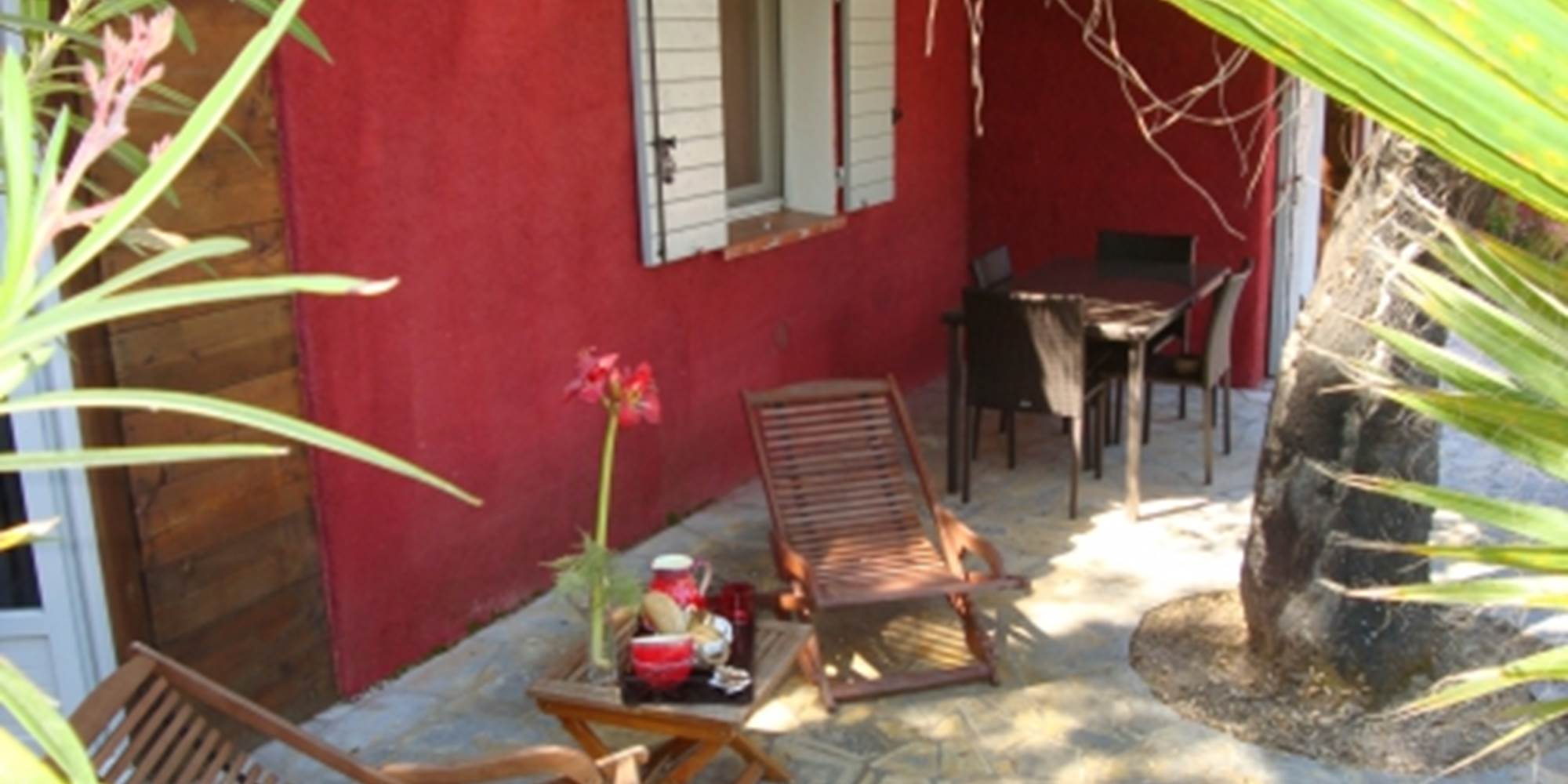 Amaryllis terrasse ext