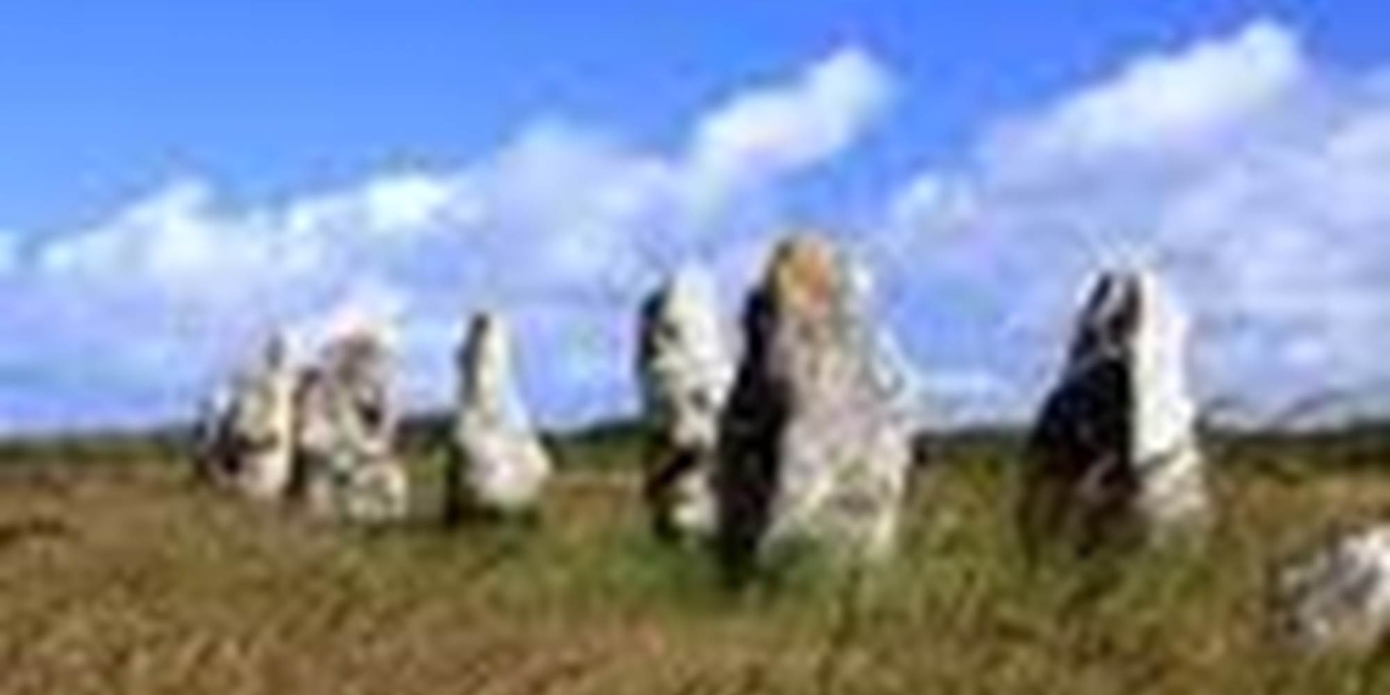 les alignements de Lagatjar  à Camaret