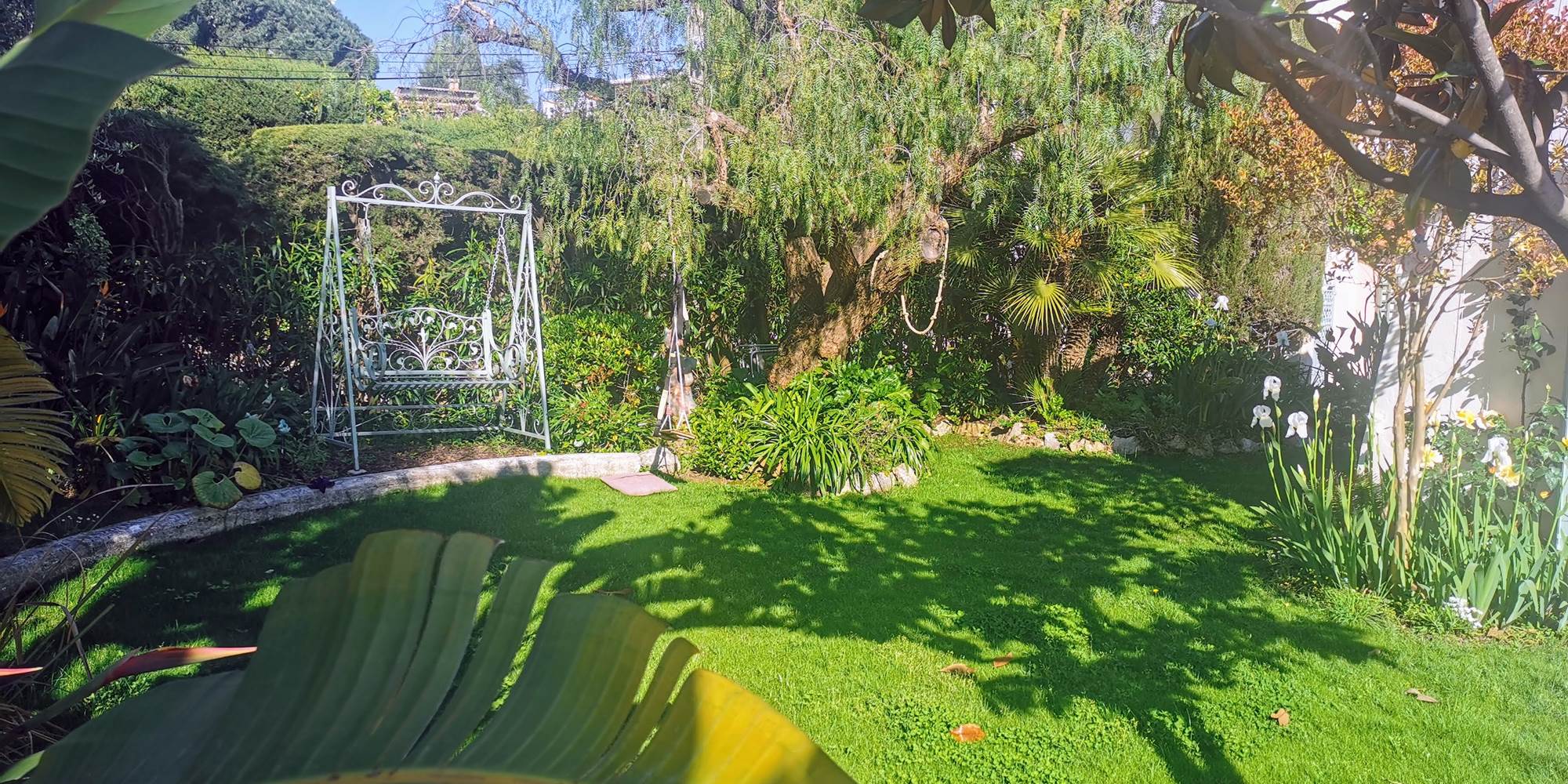 jardin blue dream :la balancelle