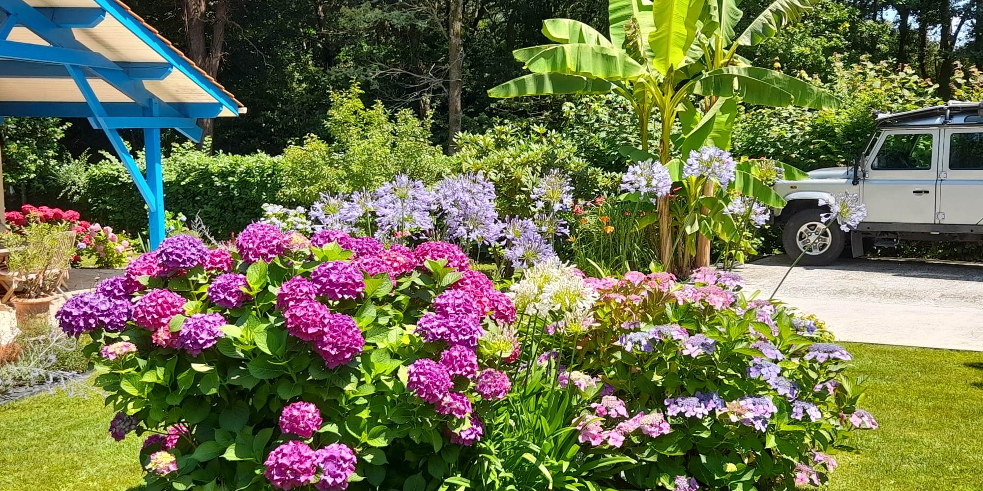 JARDIN
