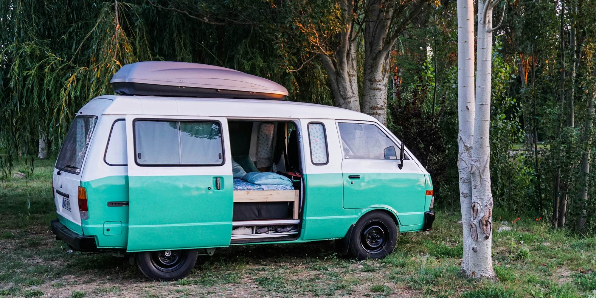 Emplacement à l'ombre du bouleau (Crédit photo : Antonio Araujo - Unsplash)
