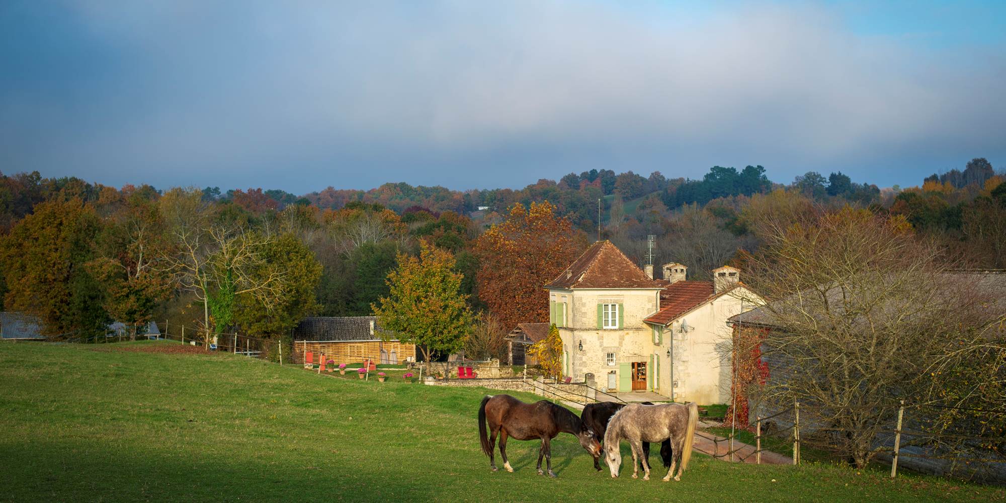 Le Domaine entouré des chevaux (c) Michel Dartenset