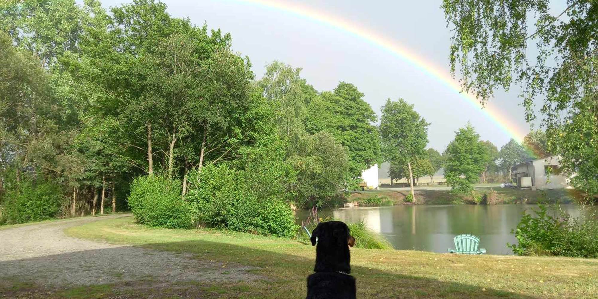 Vue devant avec arc-en-ciel (et chiens)