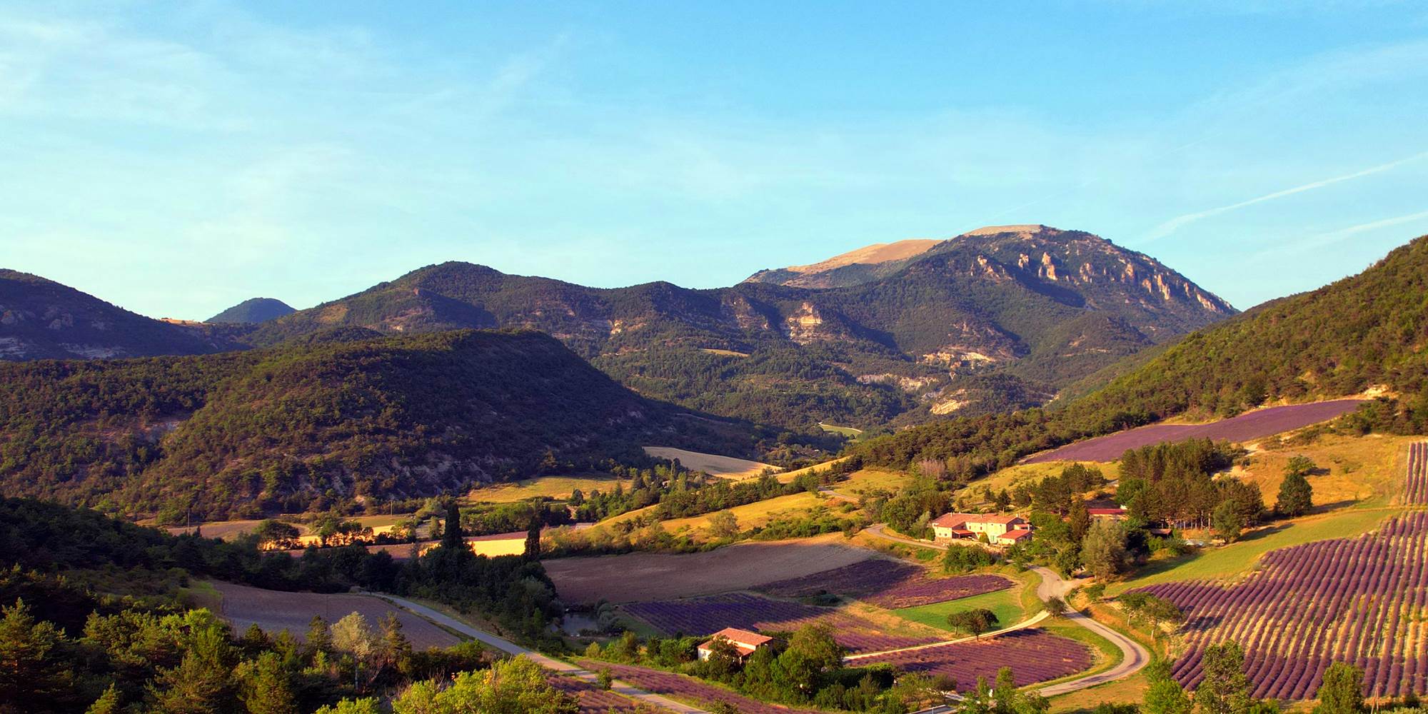 Vue d'ensemble