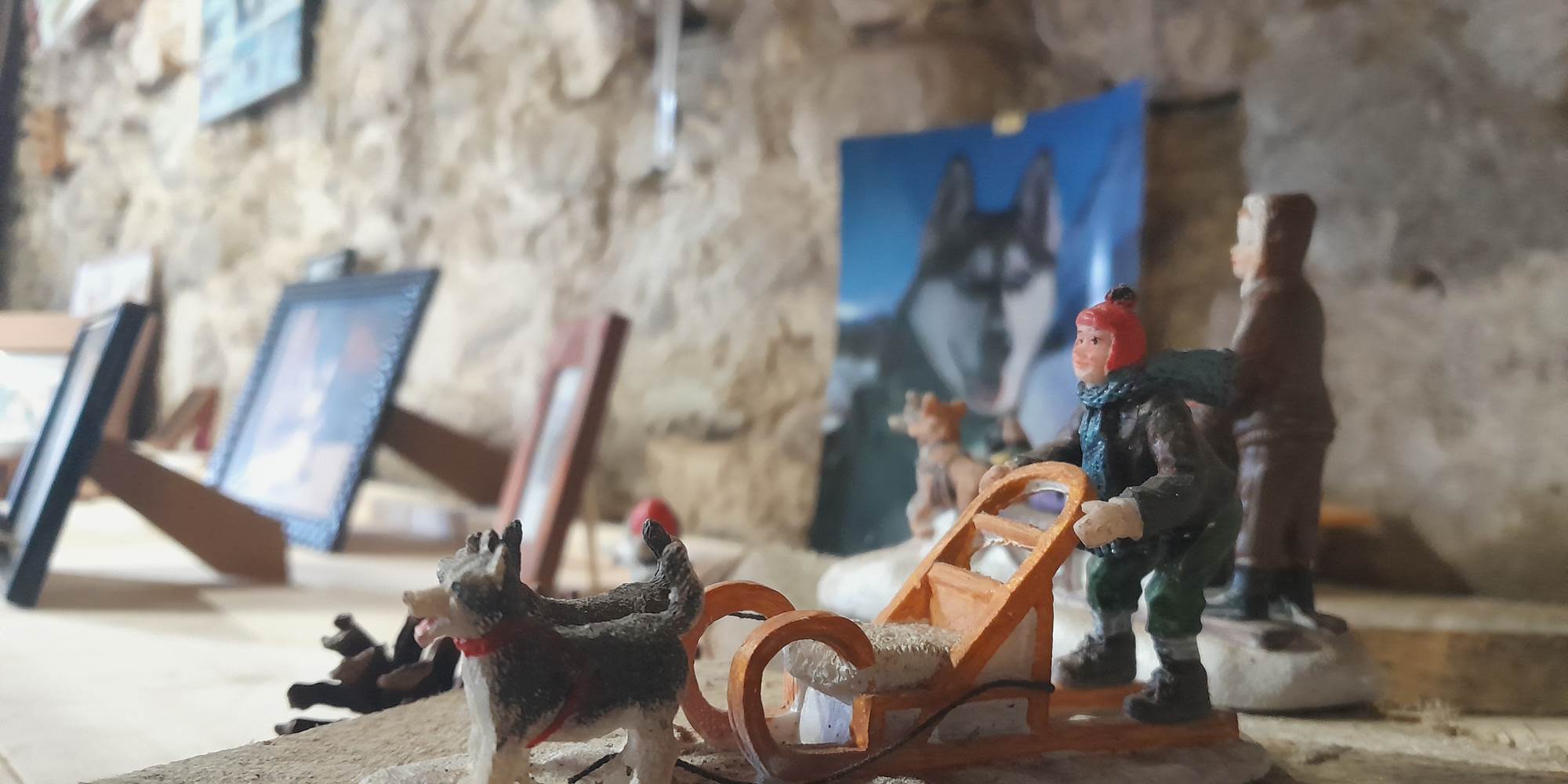 Grange du Musher et histoire des chiens de traîneau