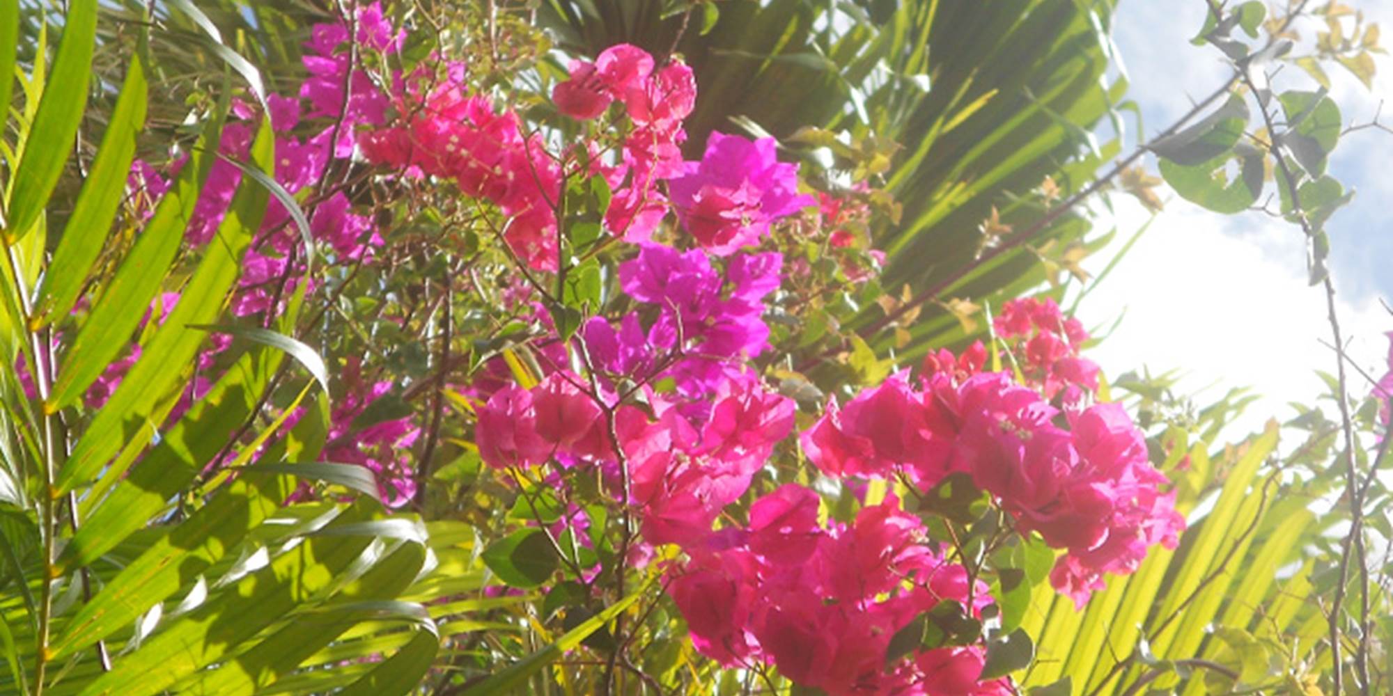 22_Villa-Rayon-Vert-Guadeloupe