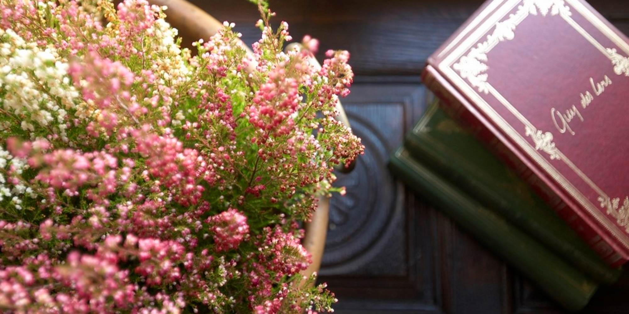 location 1 (7) (Copier) (Copier)