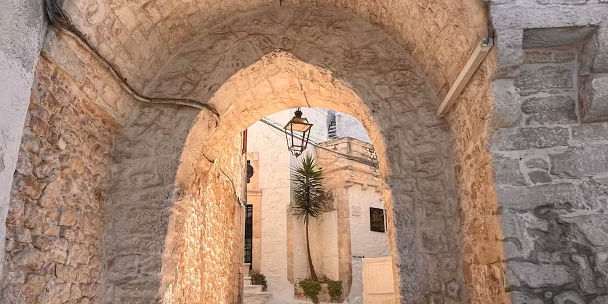 9c8c6fa1-4df4-4ec9-89dc-a3d3f7457f90