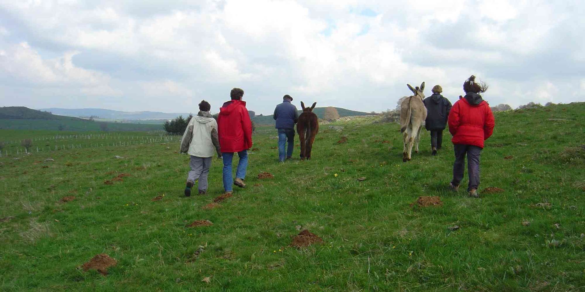 Promenade en Aubrac