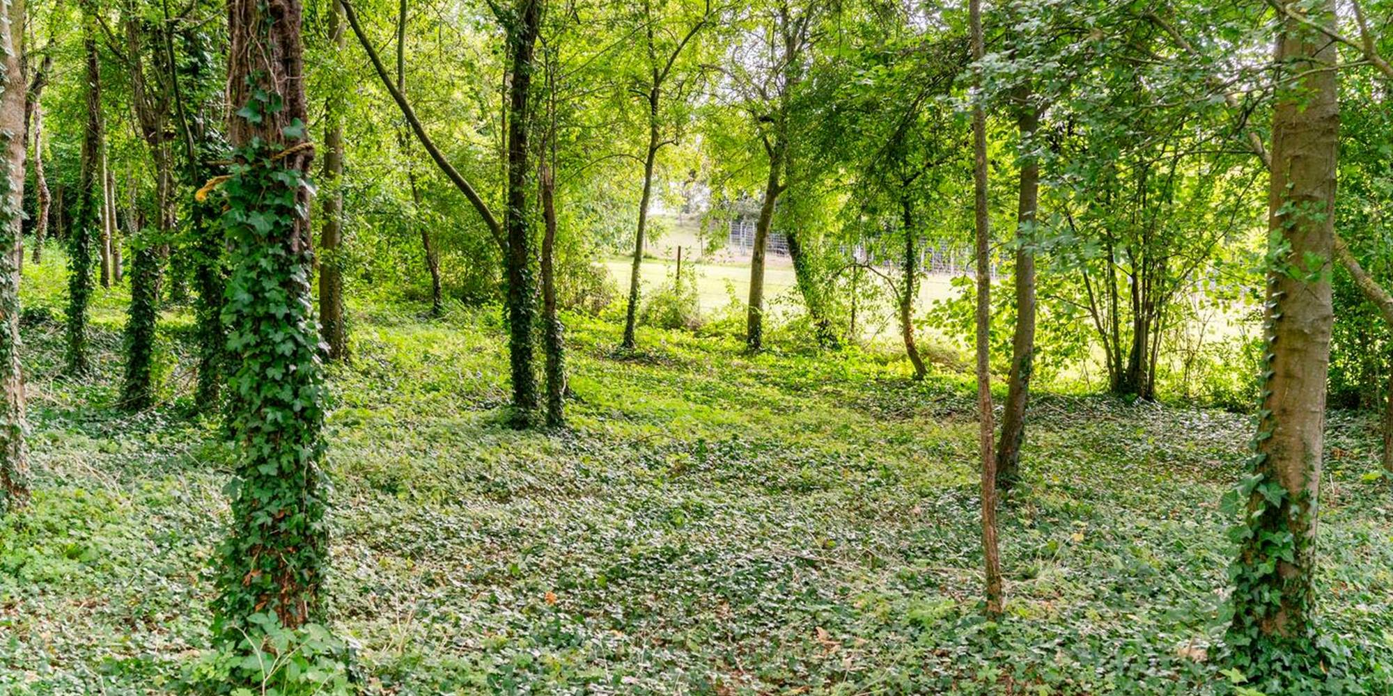 la grange Thiebault le bois