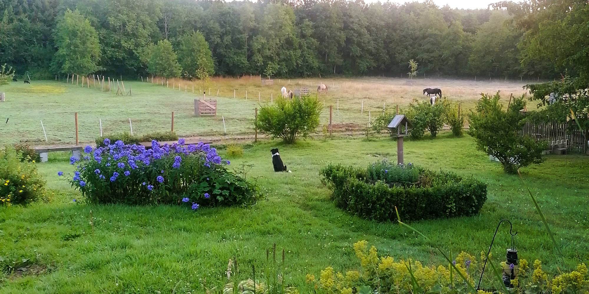 Jardin Tauminerie Inka bis