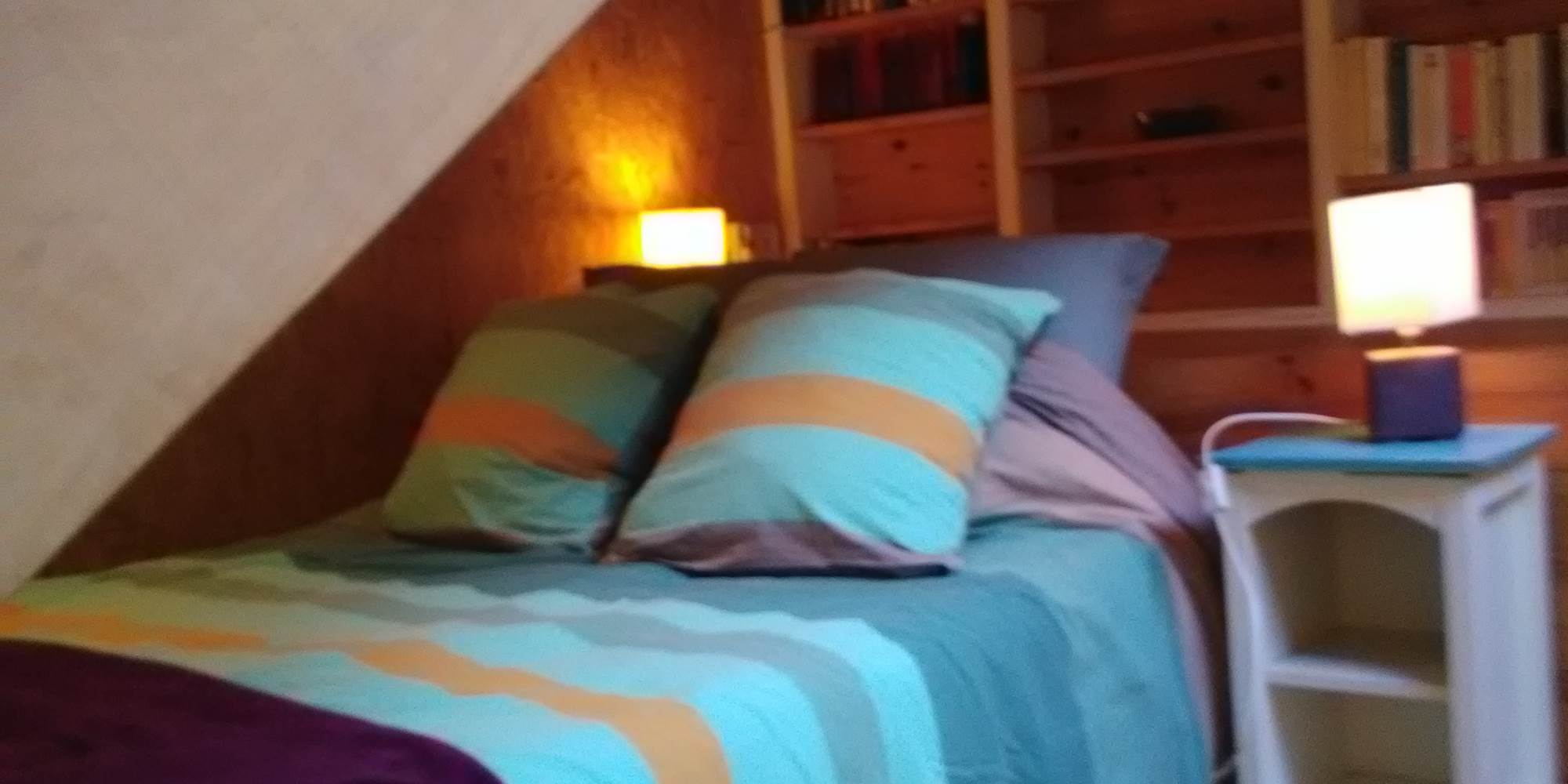 chambre myosotis la mezzanine