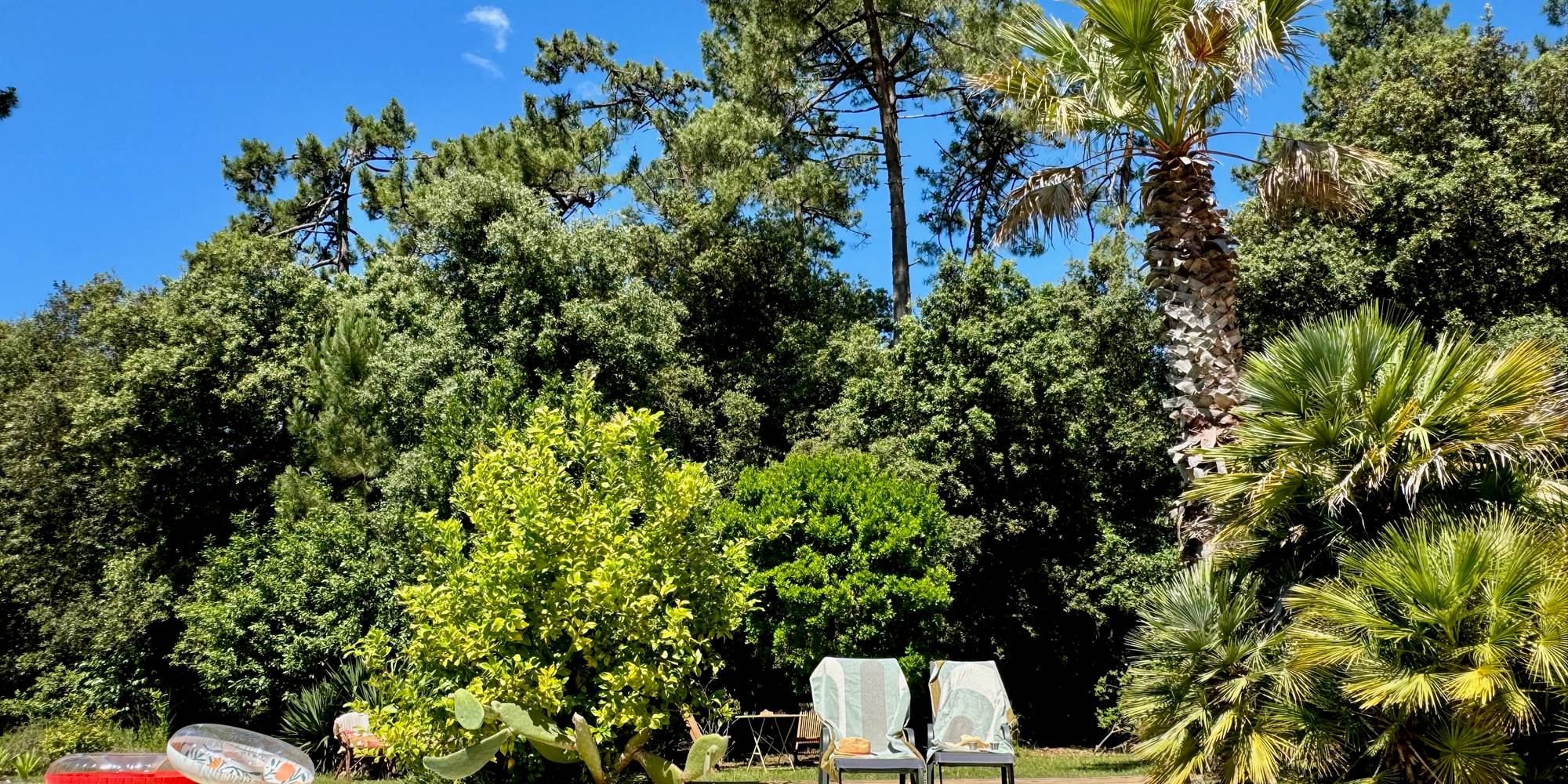 Au bord de la piscine