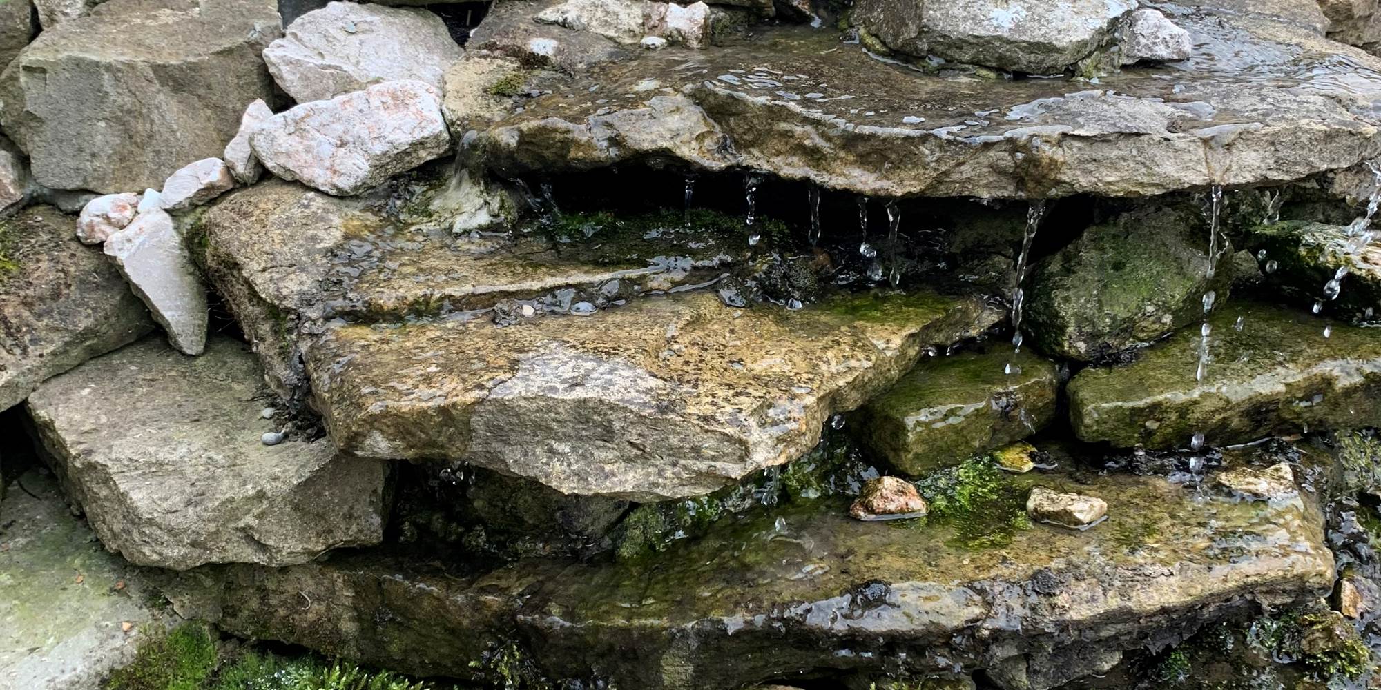 Le plan d’eau du jardin invite à la détente au cœur de notre gîte en pleine nature dans le Pas-de-Calais.